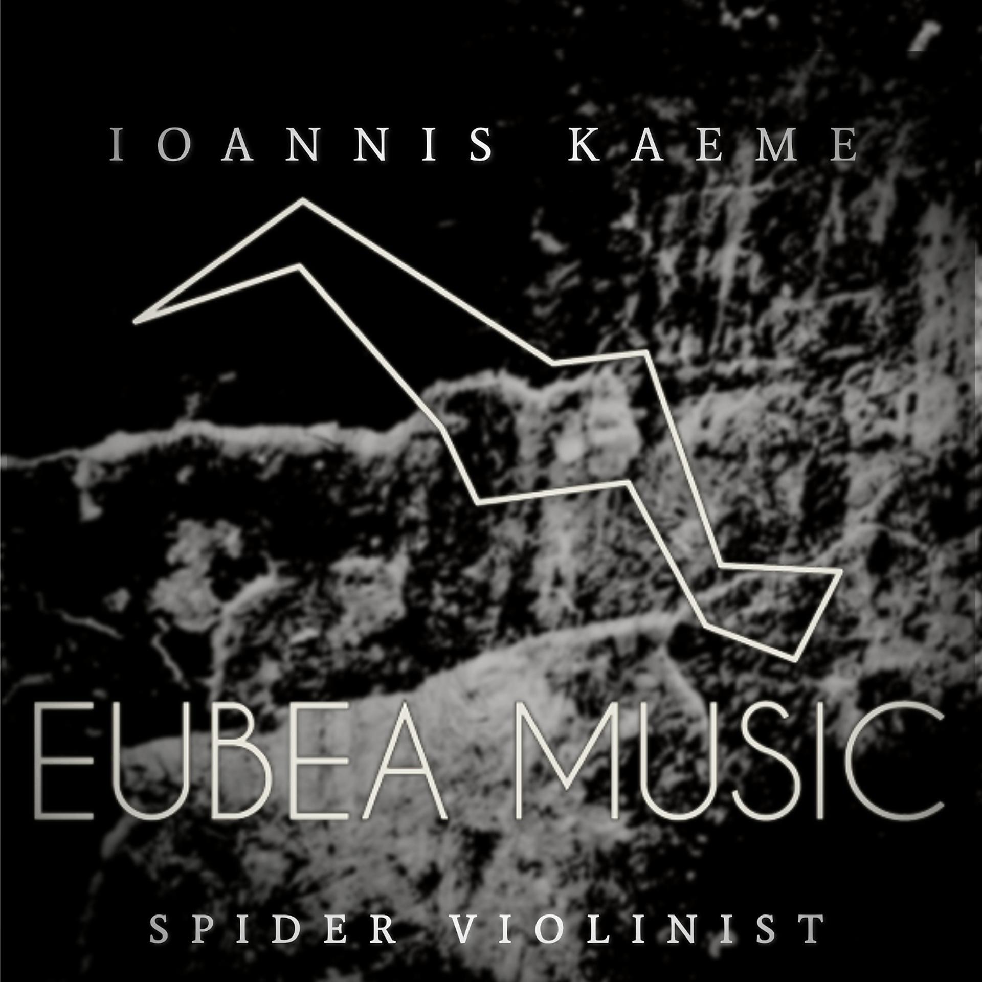 Постер альбома Spider Violinist