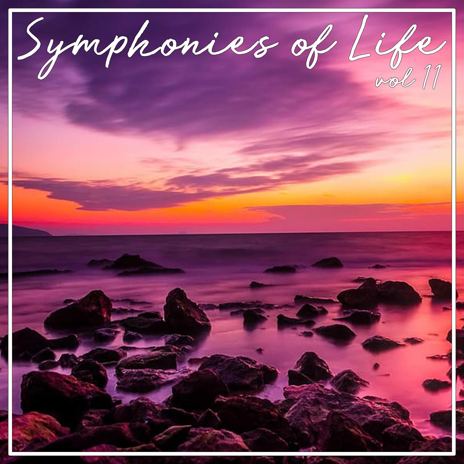Постер альбома Symphonies of Life, Vol. 11 - Myslivecek; La Passione di Nostro Signore Gesu Cristo - DISC 2