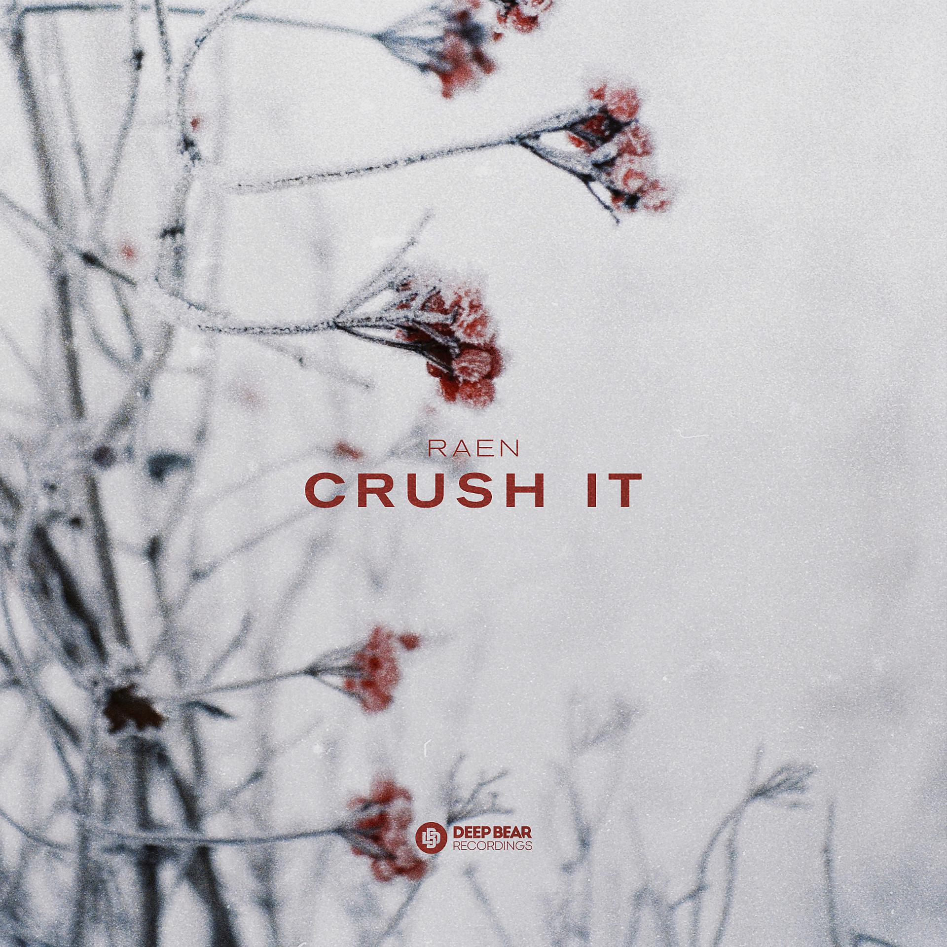 Постер альбома Crush It