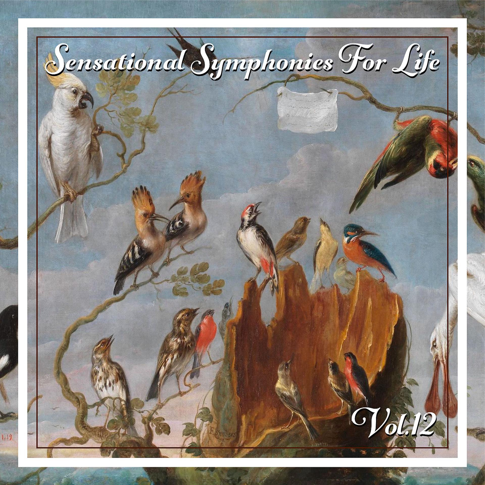 Постер альбома Sensational Symphonies For Life, Vol. 12 - Bruckner: Symphonie No. 1, Orgelwerke