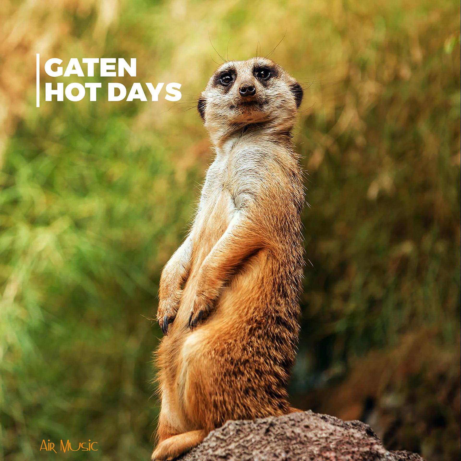 Постер альбома Hot Days
