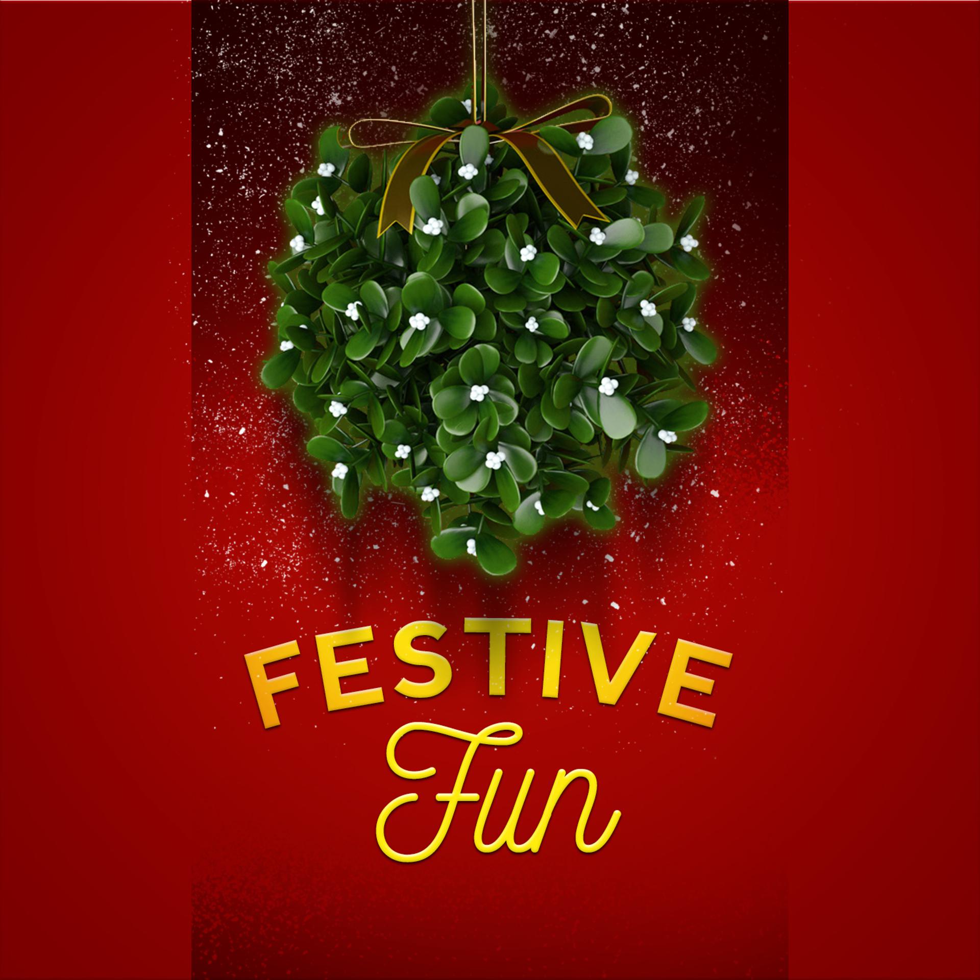 Постер альбома Festive Fun