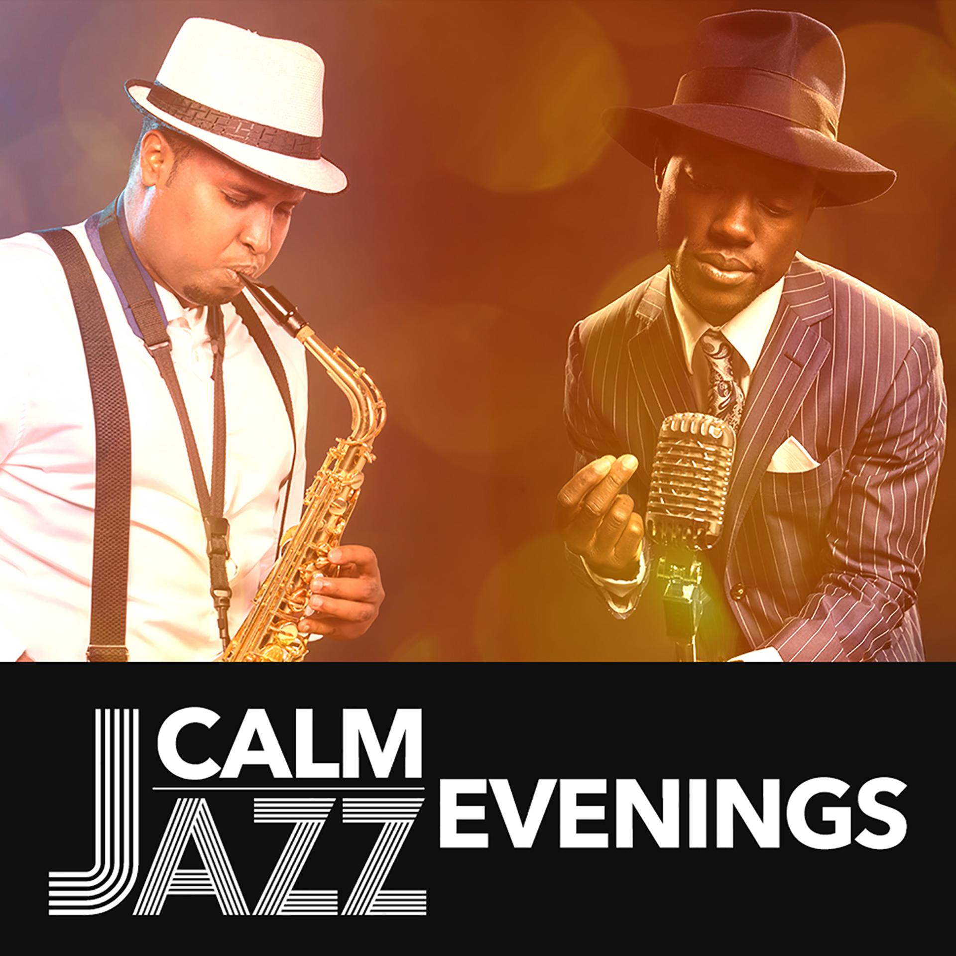Постер альбома Calm Jazz Evenings