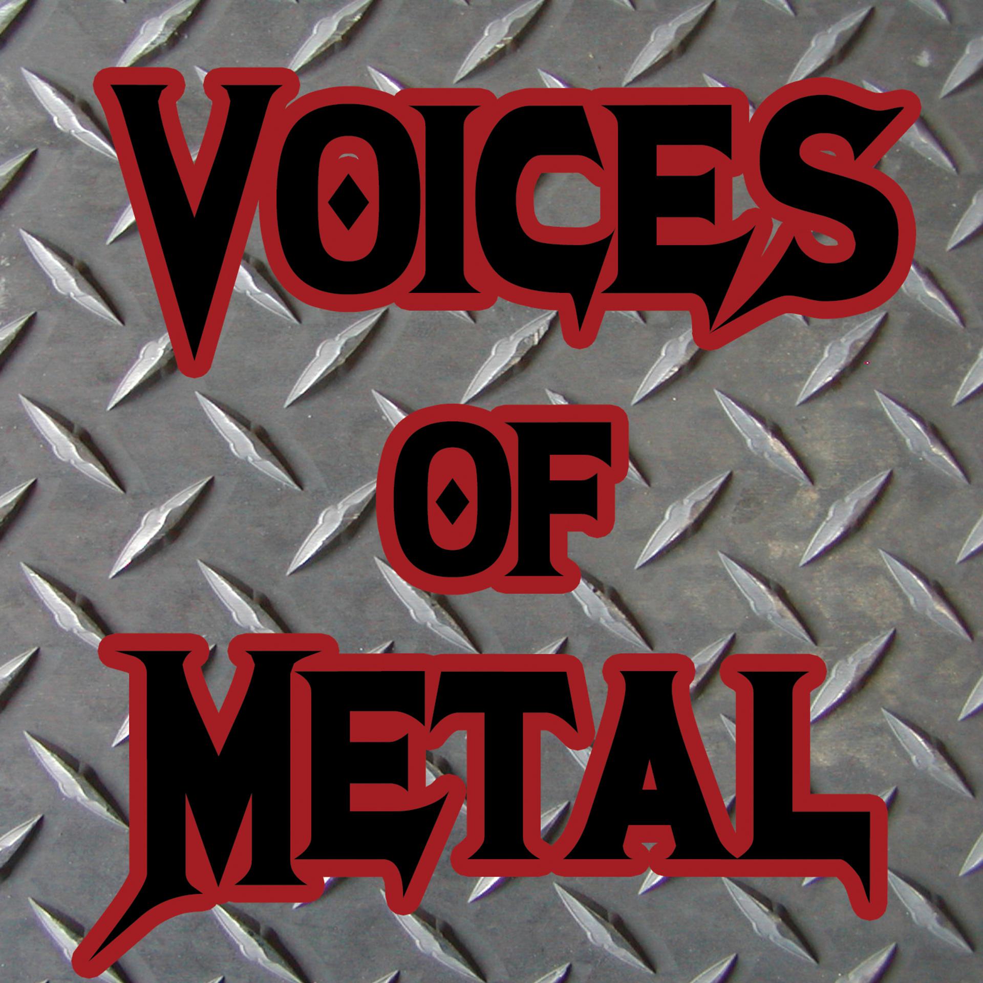 Постер альбома Voices of Metal