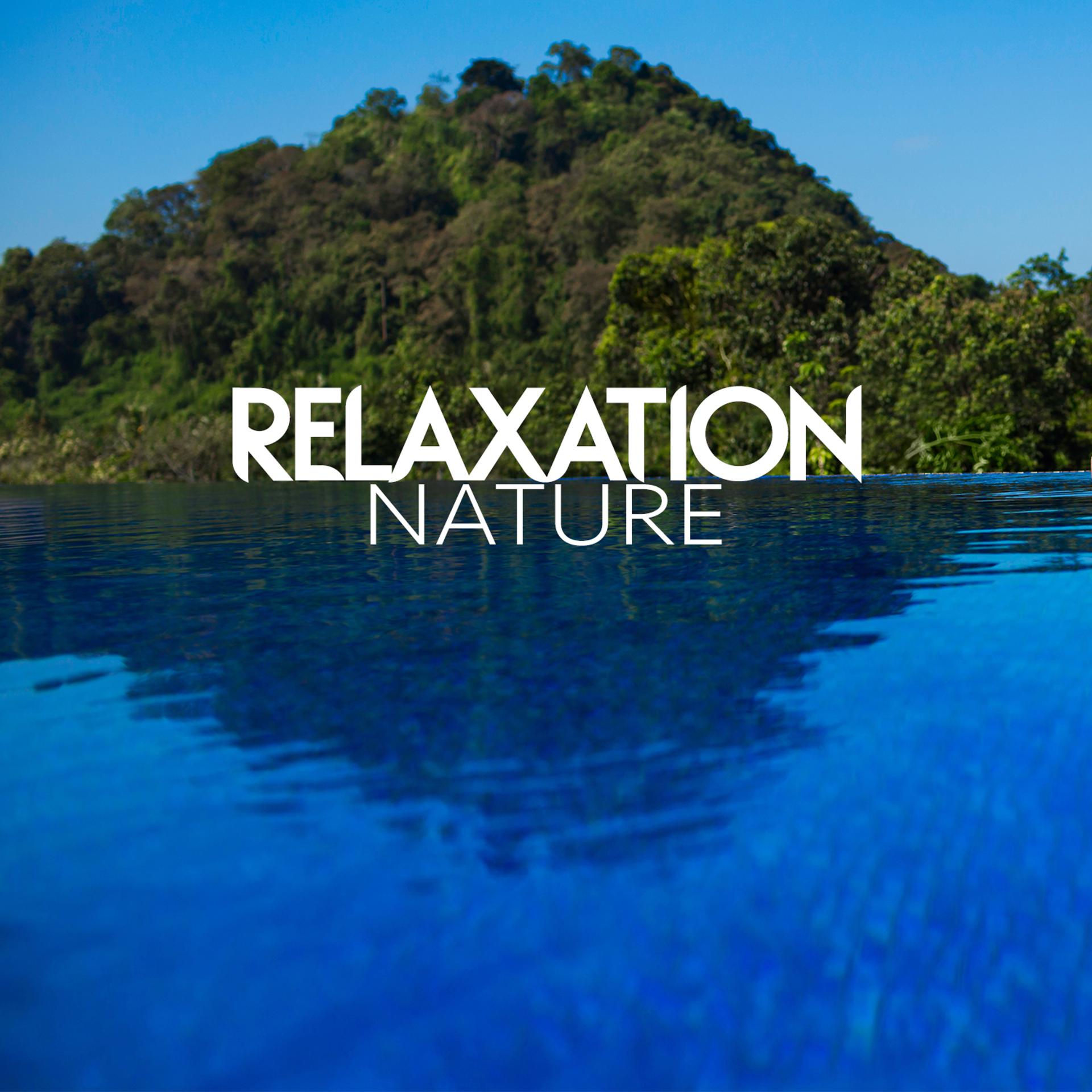 Постер альбома Relaxation: Nature