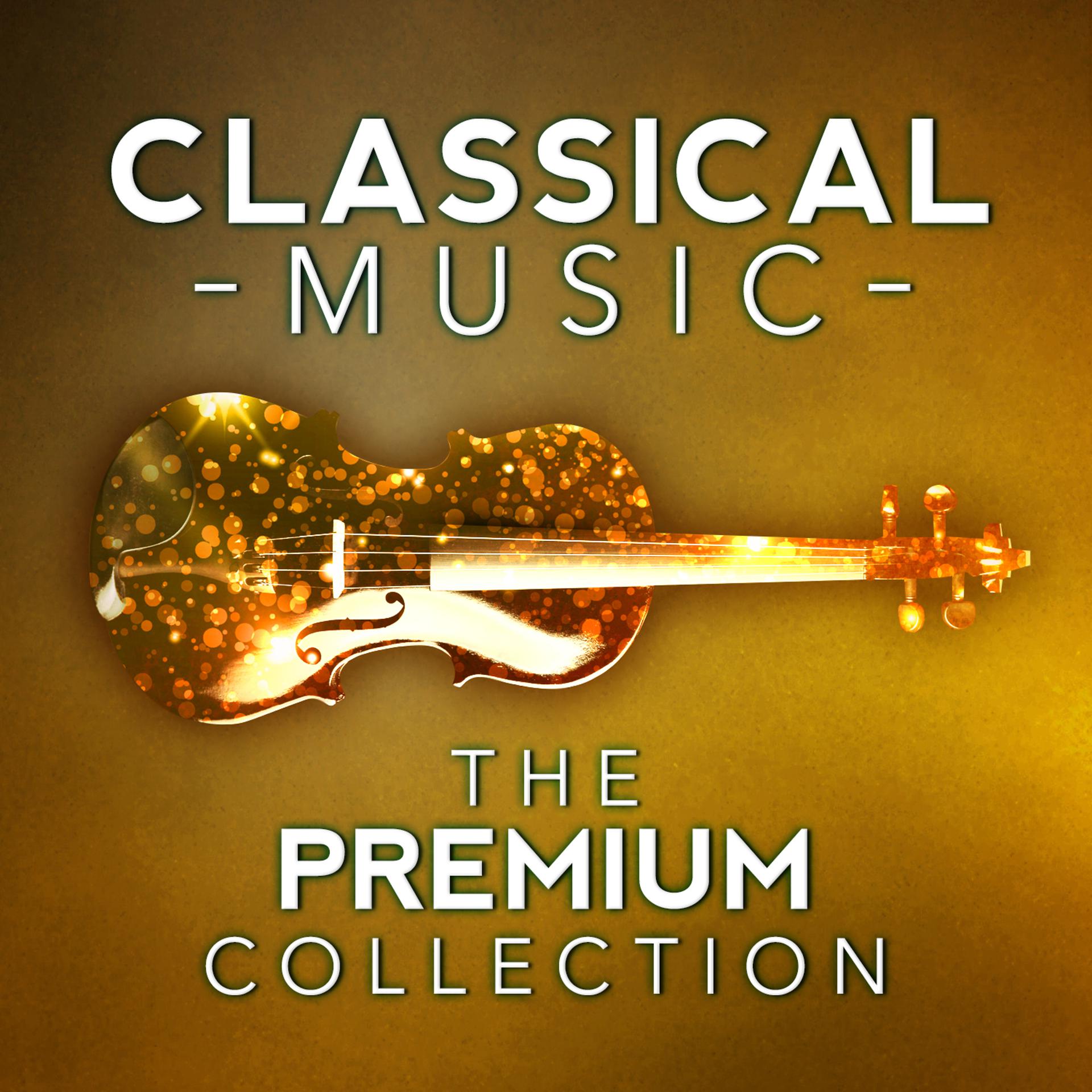 Постер альбома Classical Music: The Premium Collection