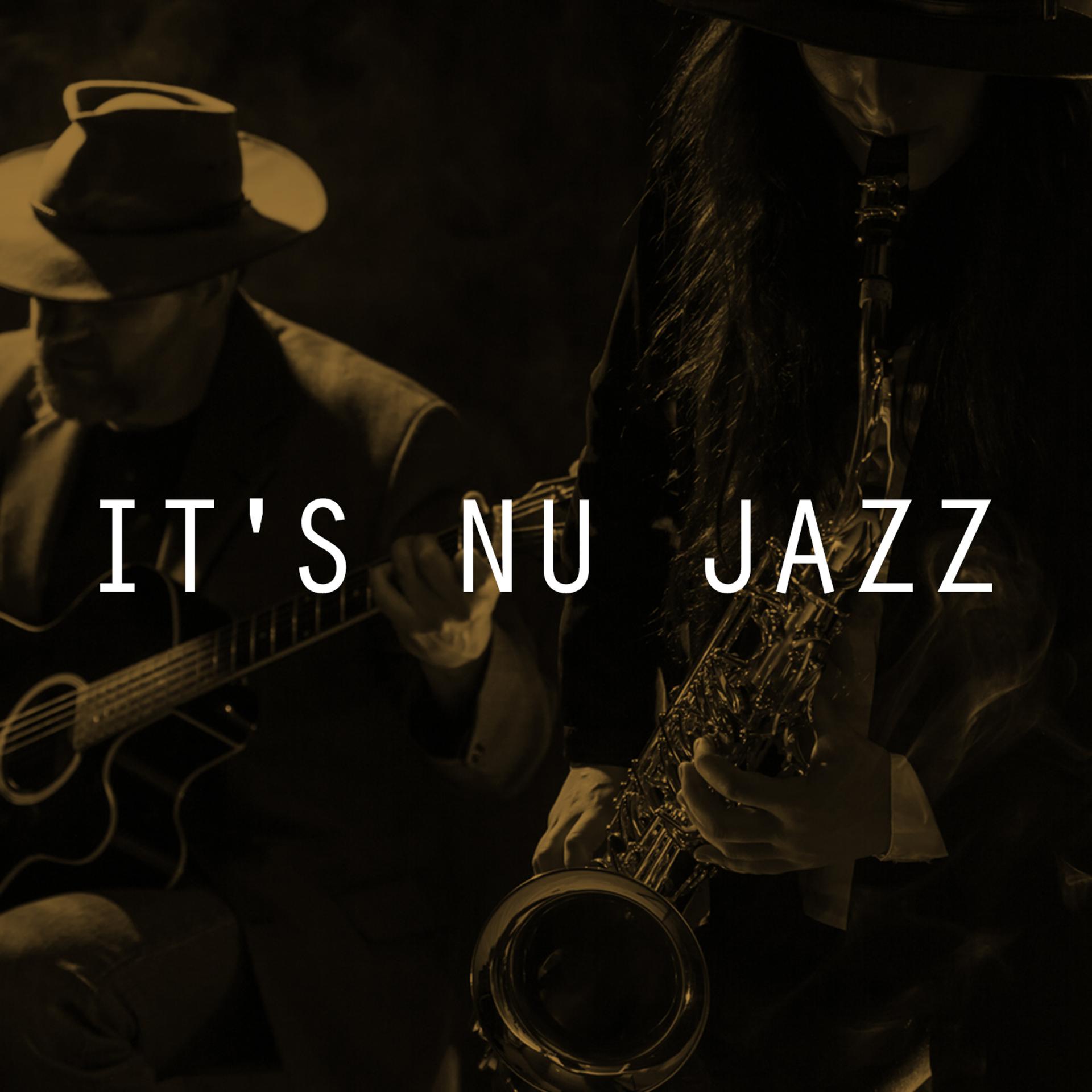 Постер альбома It's Nu Jazz