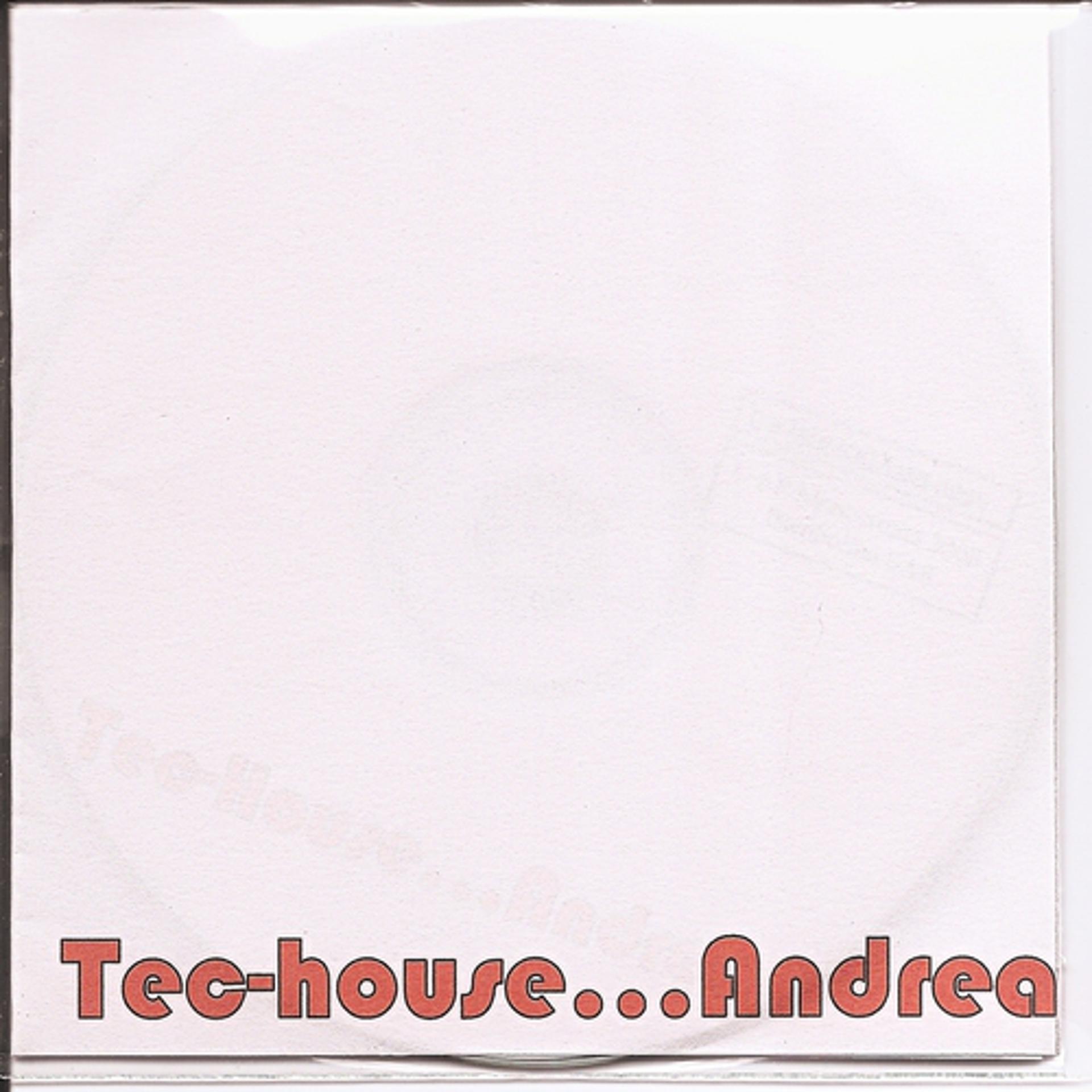 Постер альбома Tech-house...andrea