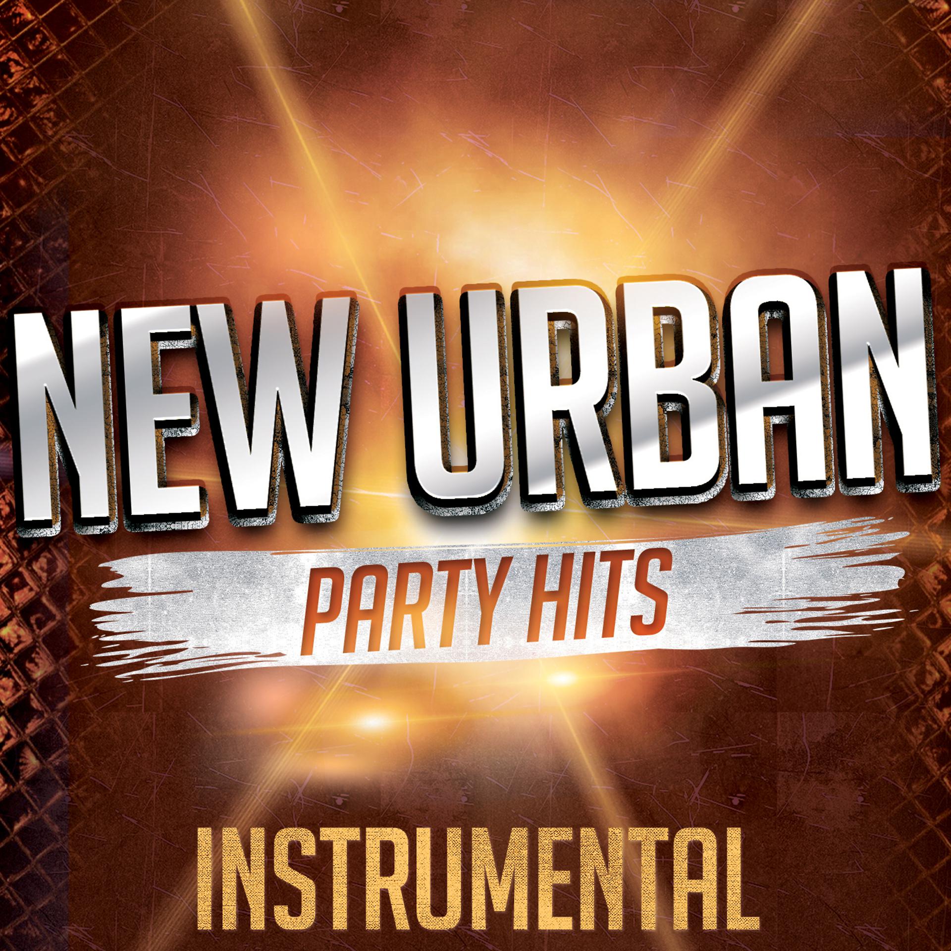 Постер альбома New Urban Instrumental Party Hits