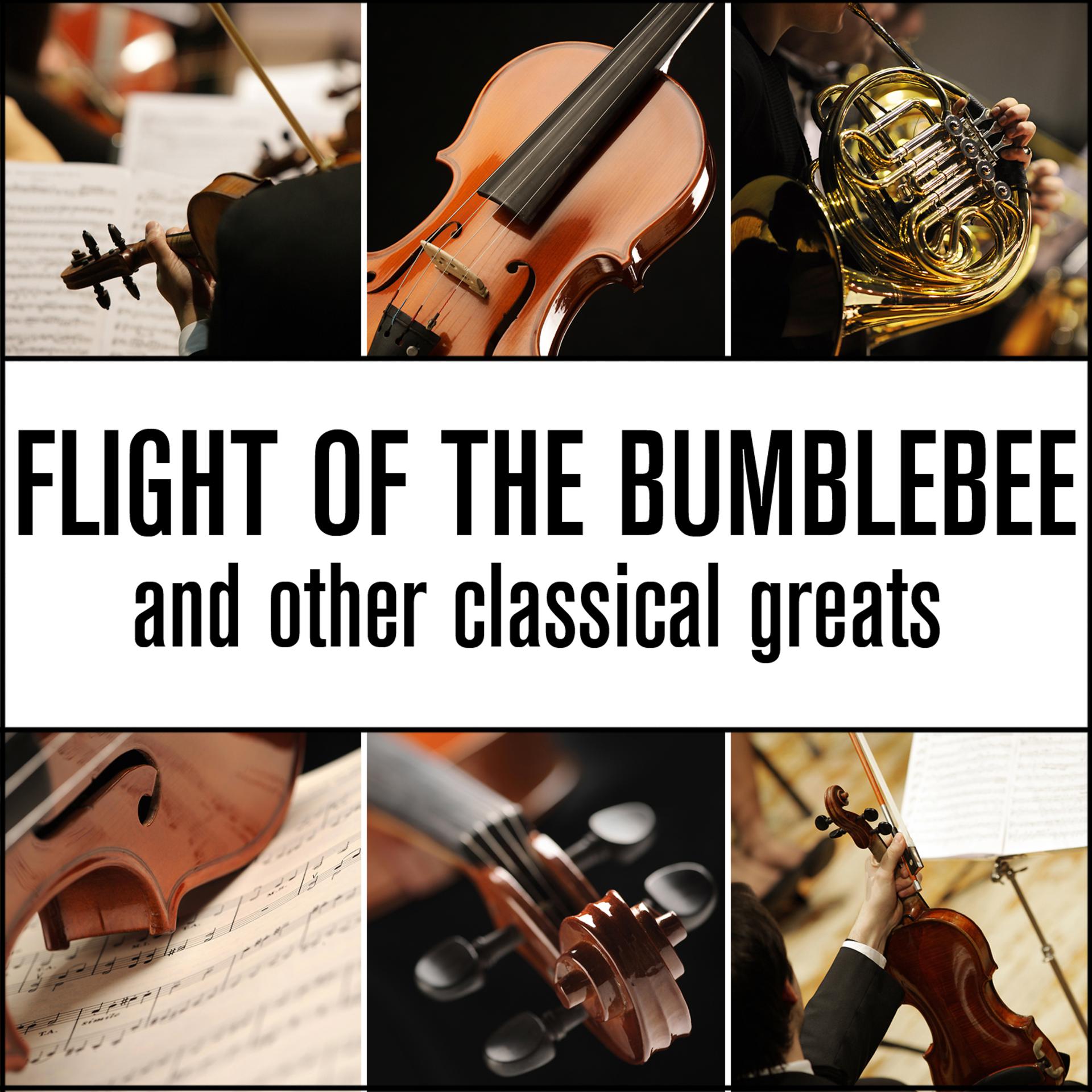Постер альбома Flight Of The Bumblebee and Other Classical Greats