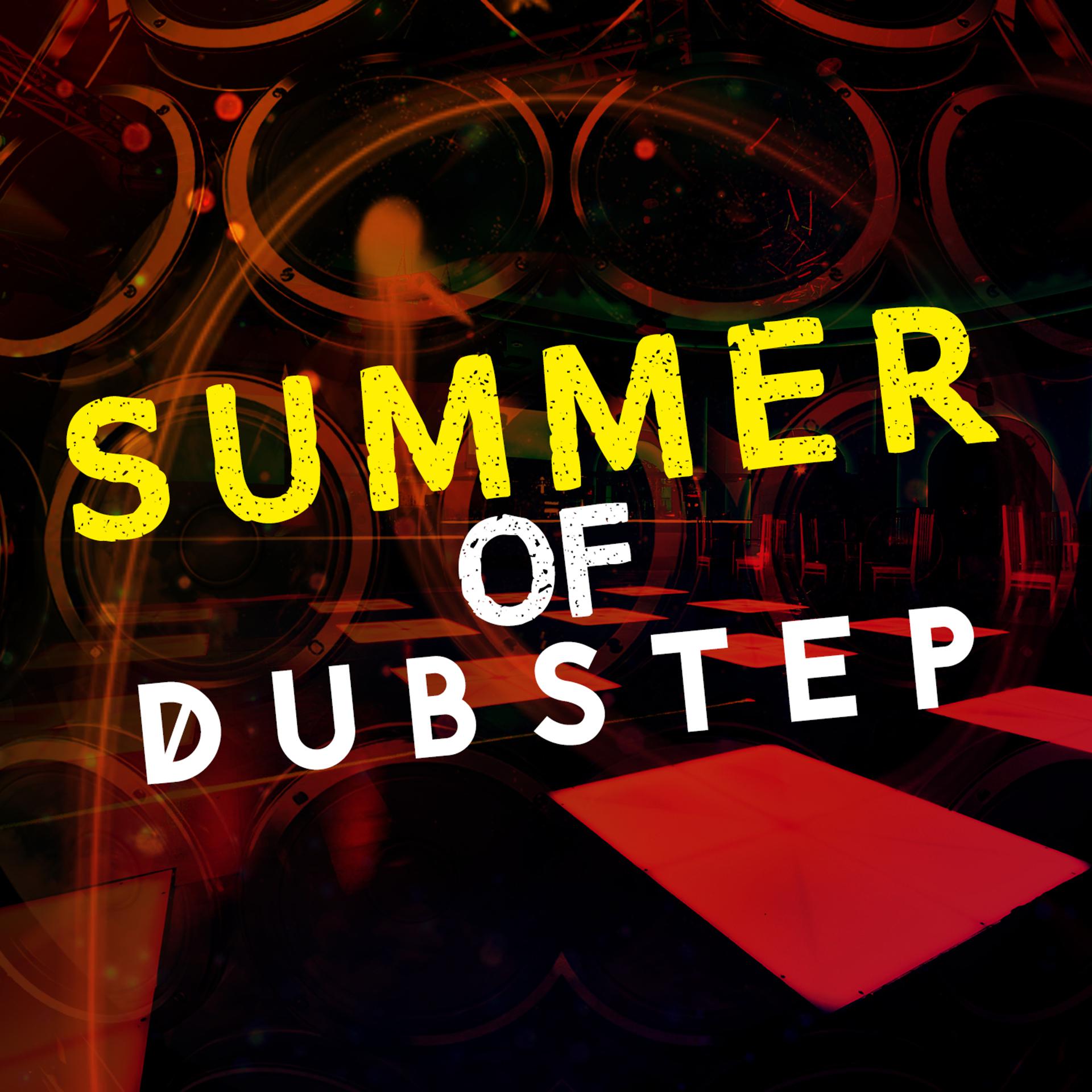 Постер альбома Summer of Dubstep