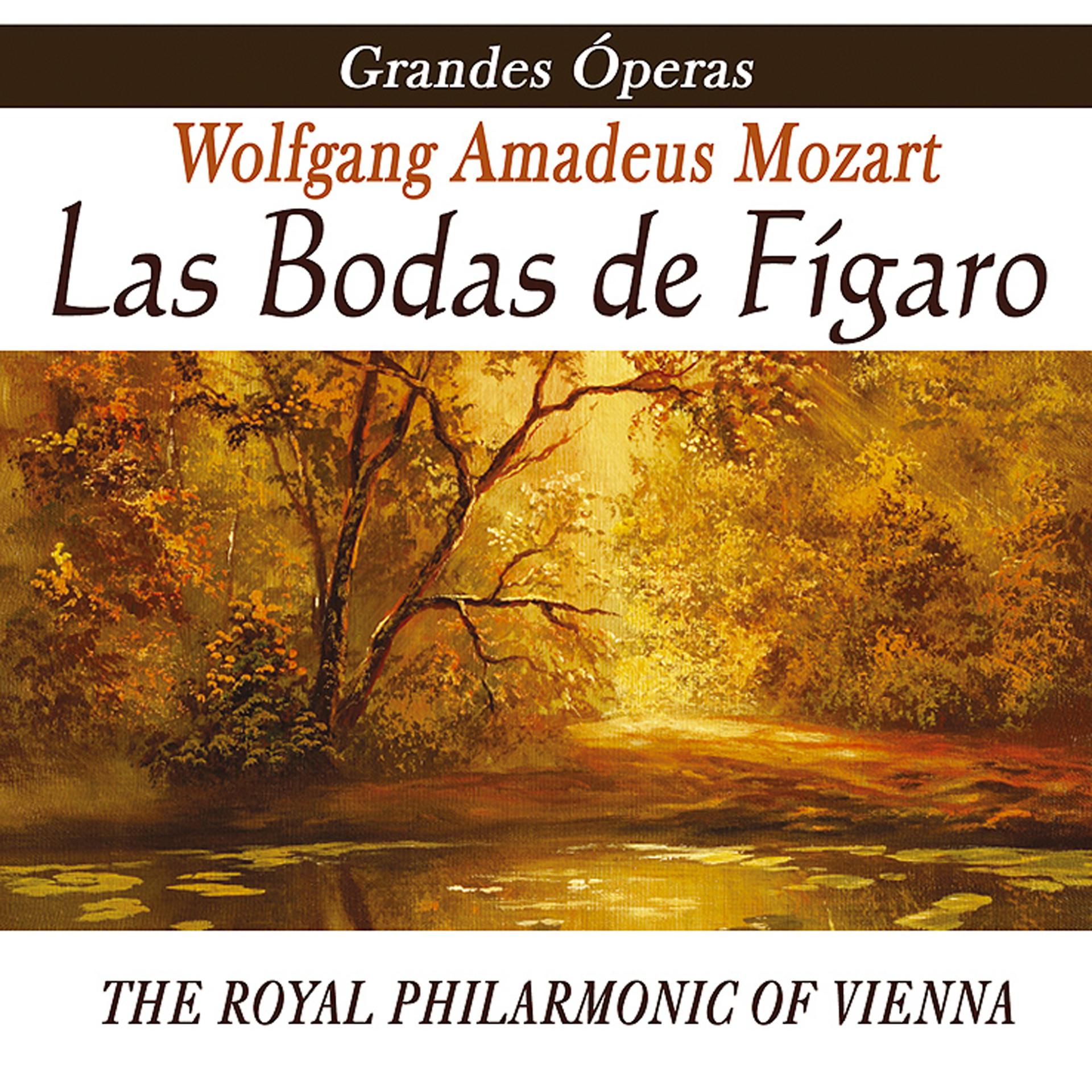 Постер альбома Opera - Las Bodas De Figaro