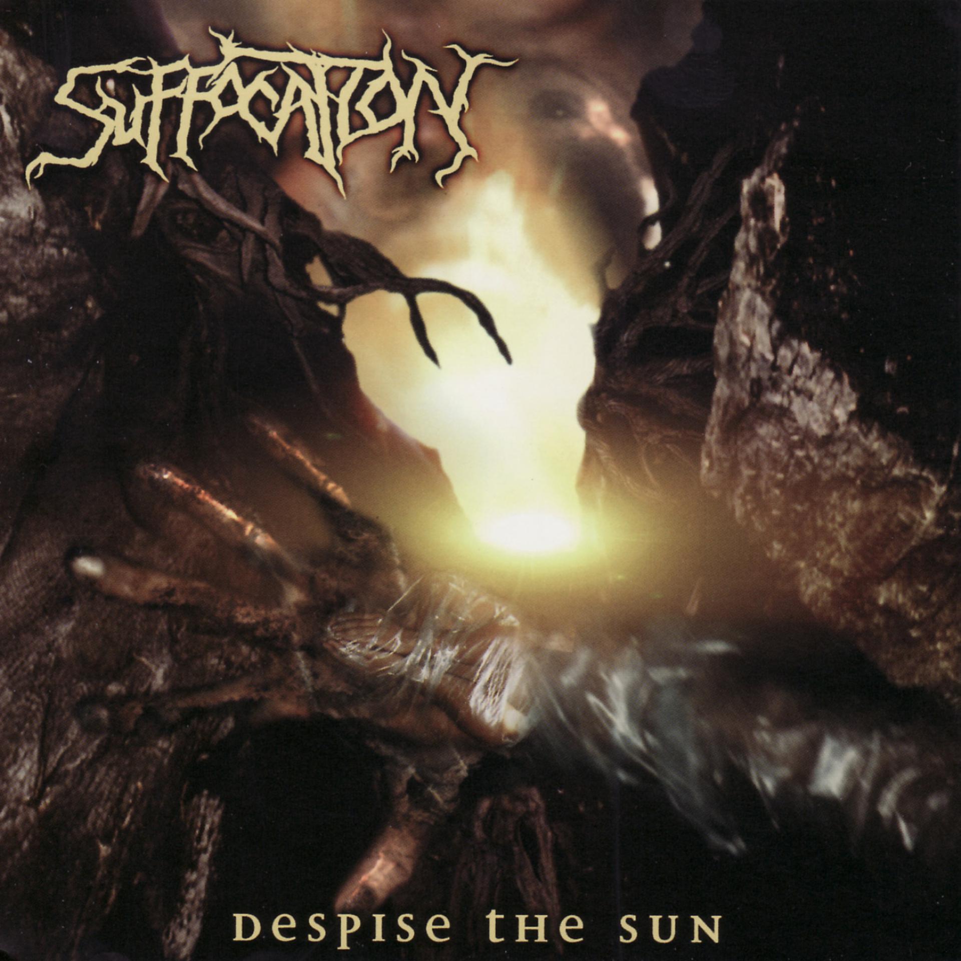 Постер альбома Despise the Sun