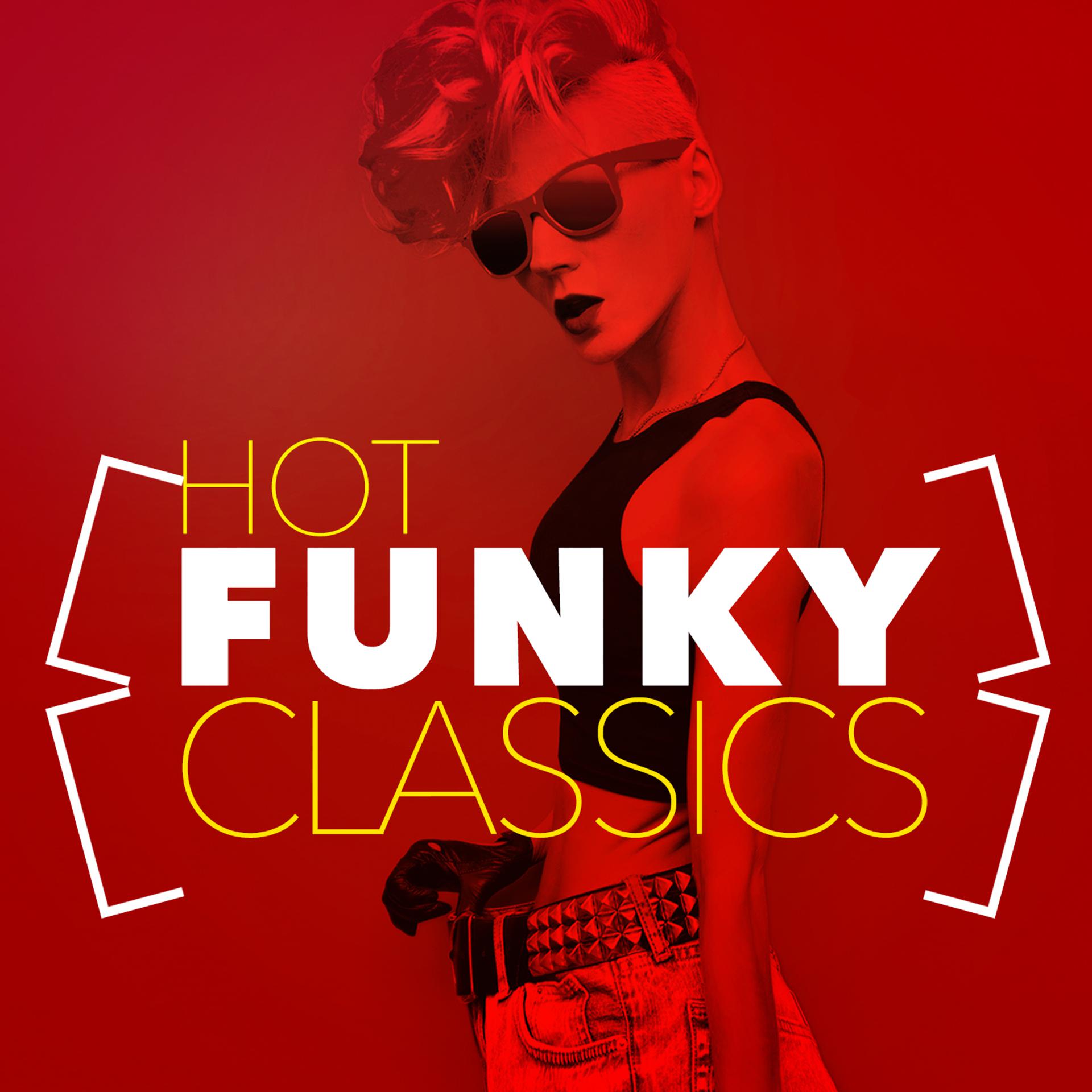 Постер альбома Hot Funky Classics