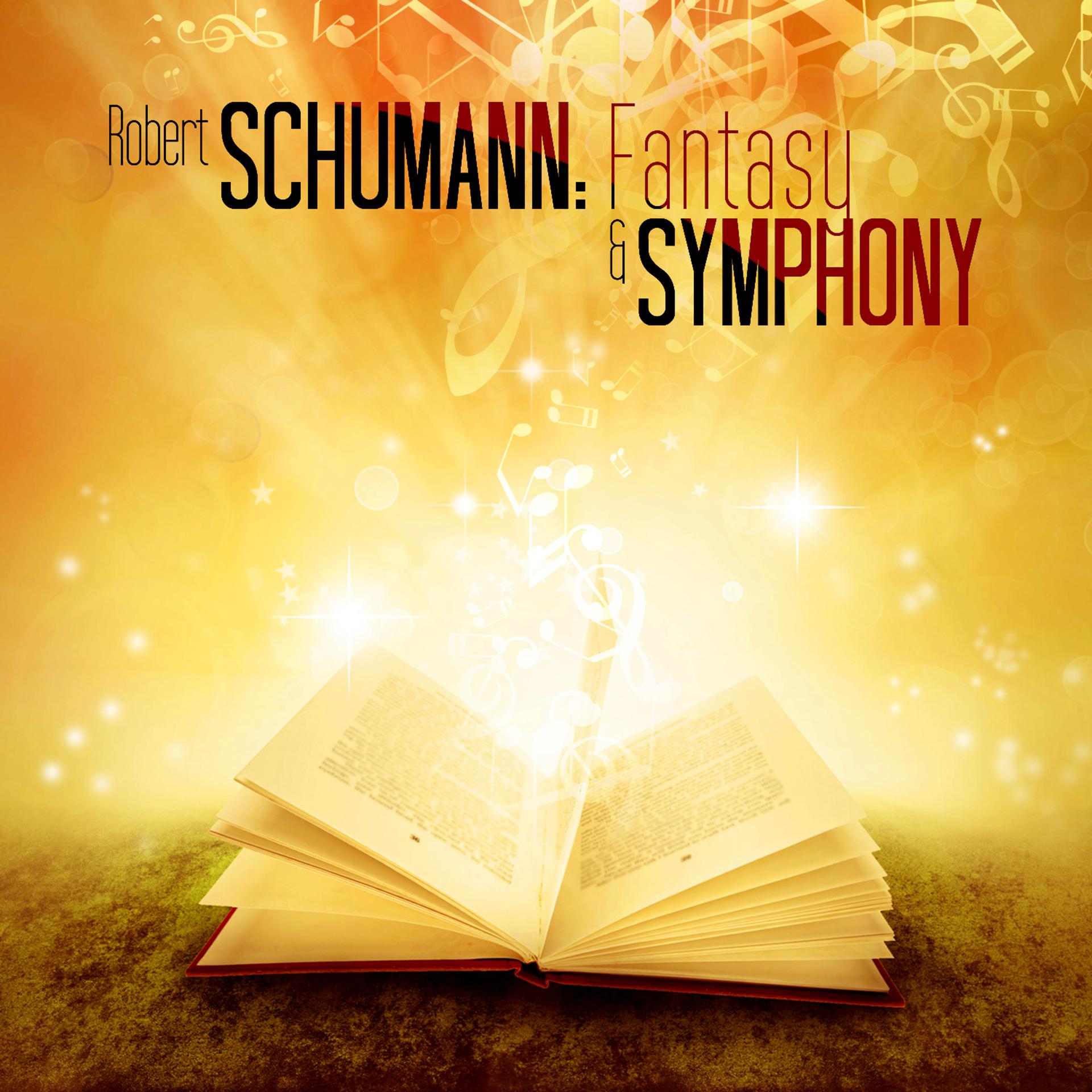 Постер альбома Robert Schumann: Fantasy & Symphony