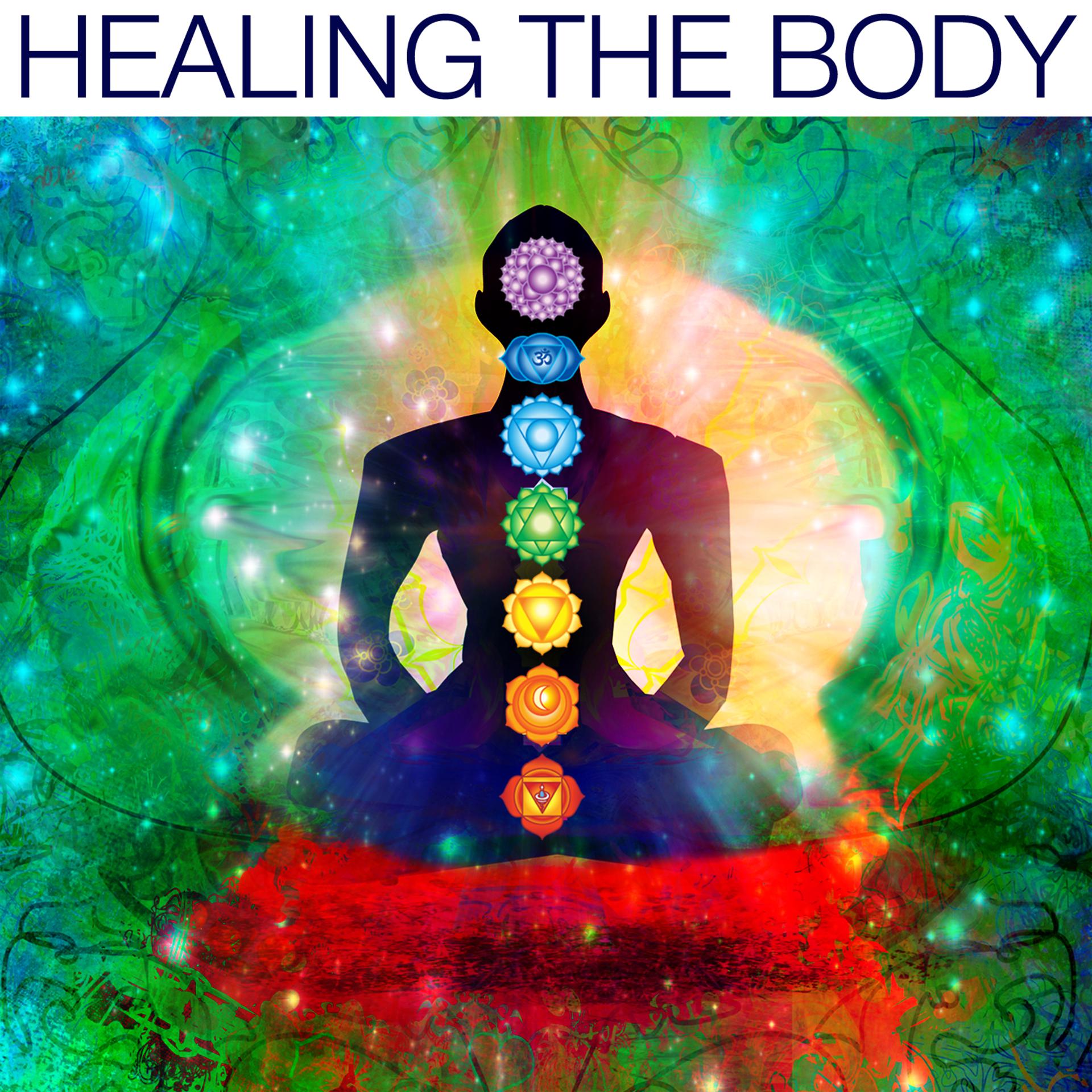 Постер альбома Healing the Body