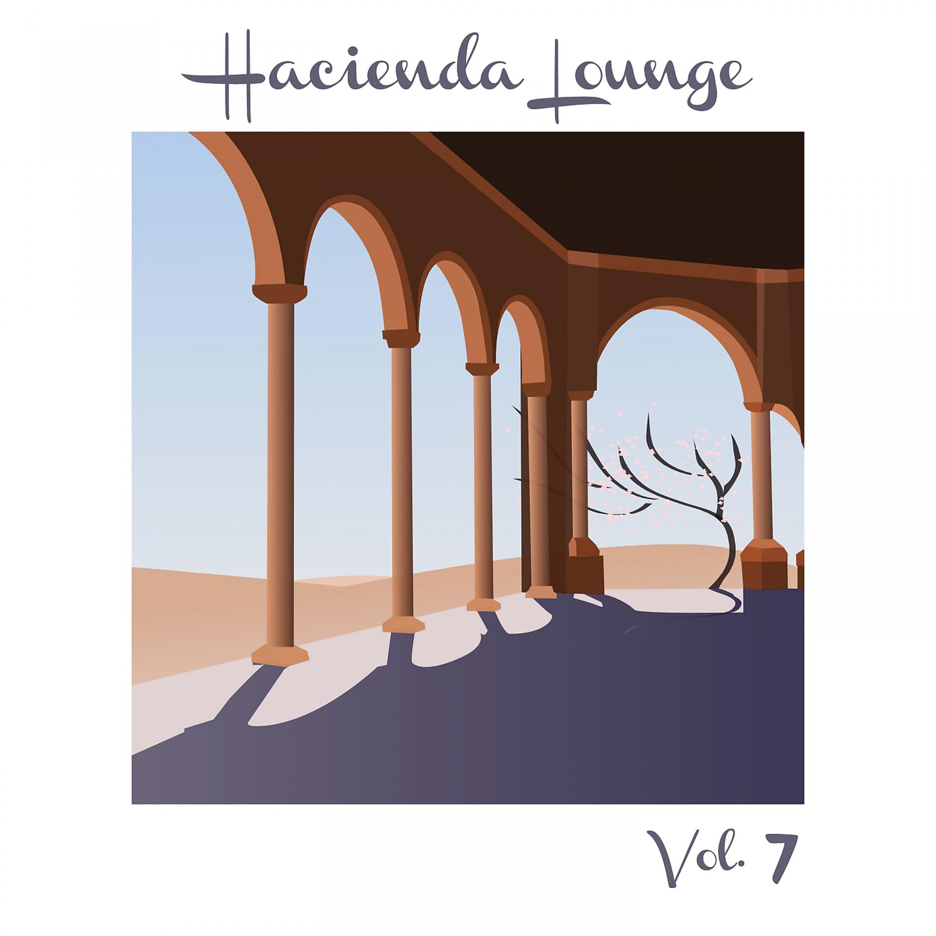 Постер альбома Hacienda Lounge, Vol. 7