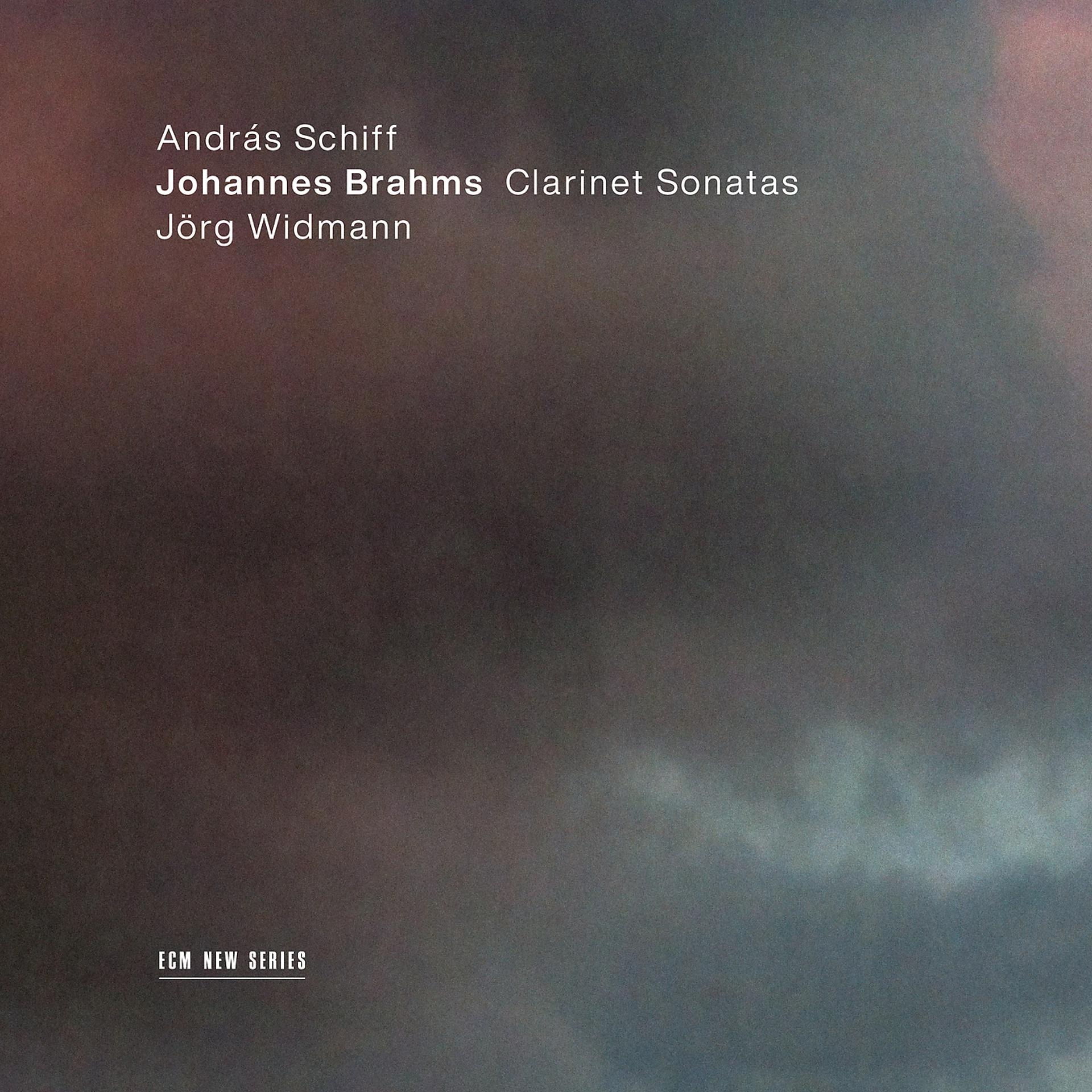 Постер альбома Brahms: Sonata for Clarinet and Piano No. 2 in E Flat Major, Op. 120 No. 2: 3. Andante con moto - Allegro