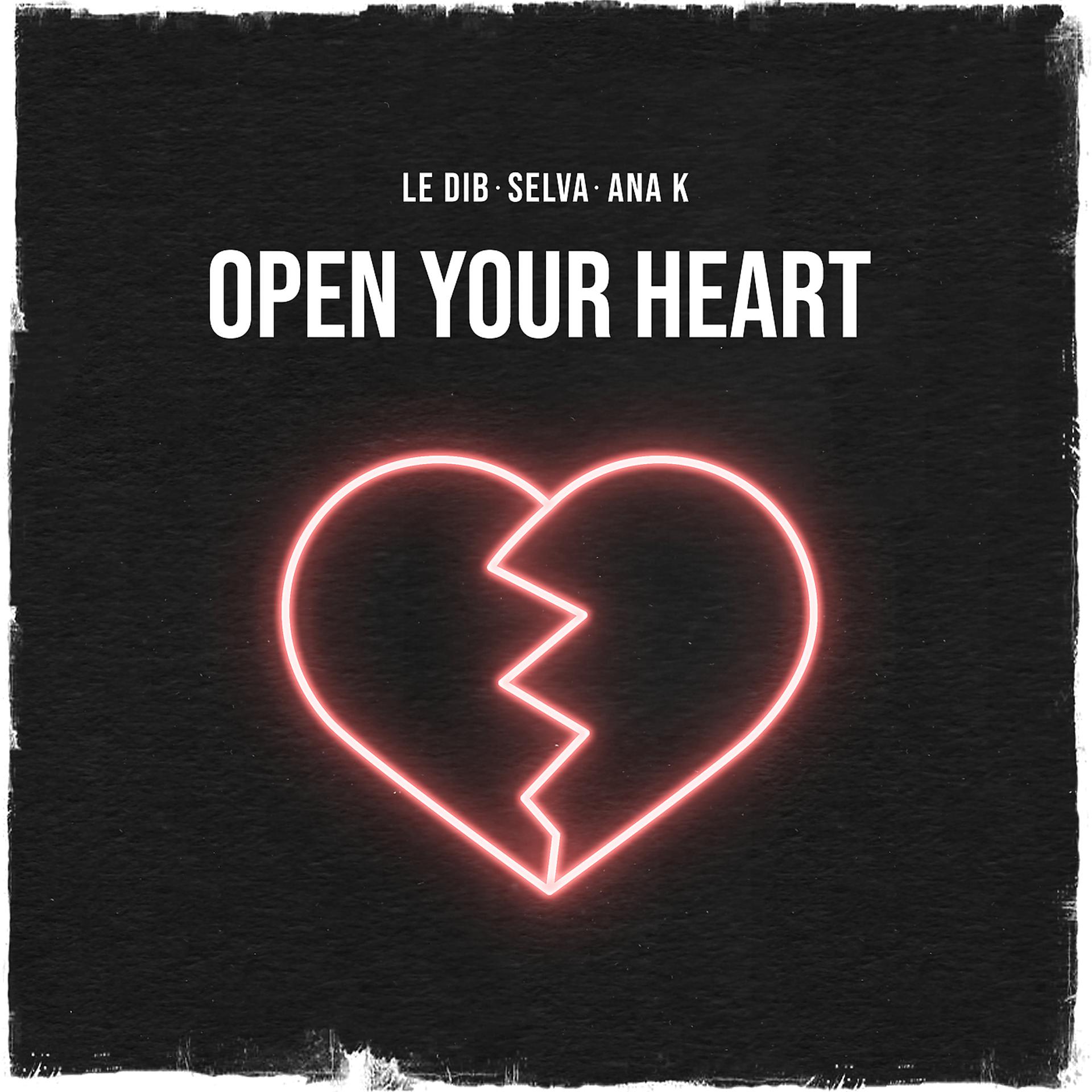 Постер альбома Open Your Heart
