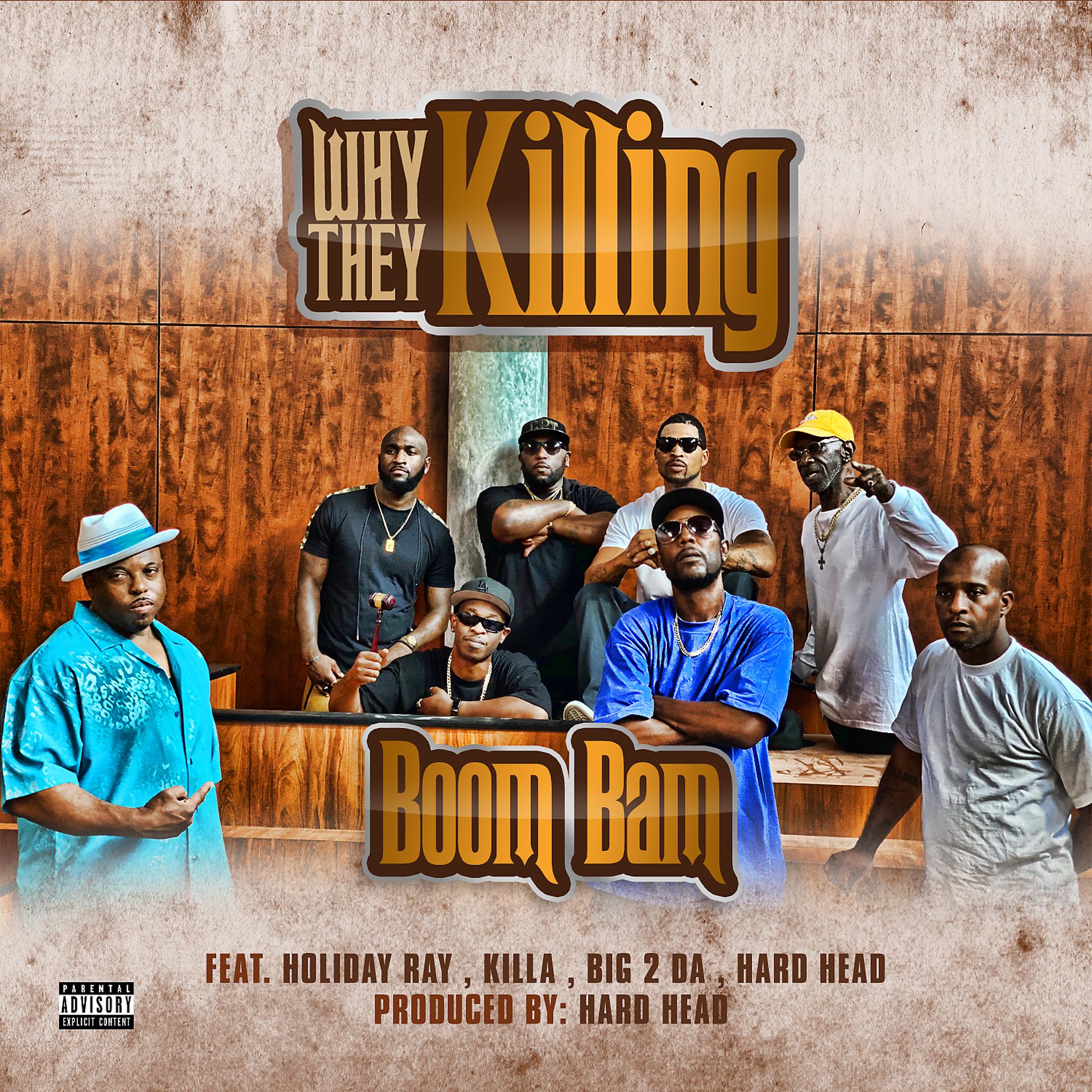 Постер альбома Why They Killing (feat. Killa, Hard Head, Big 2 Da & Holiday Ray)
