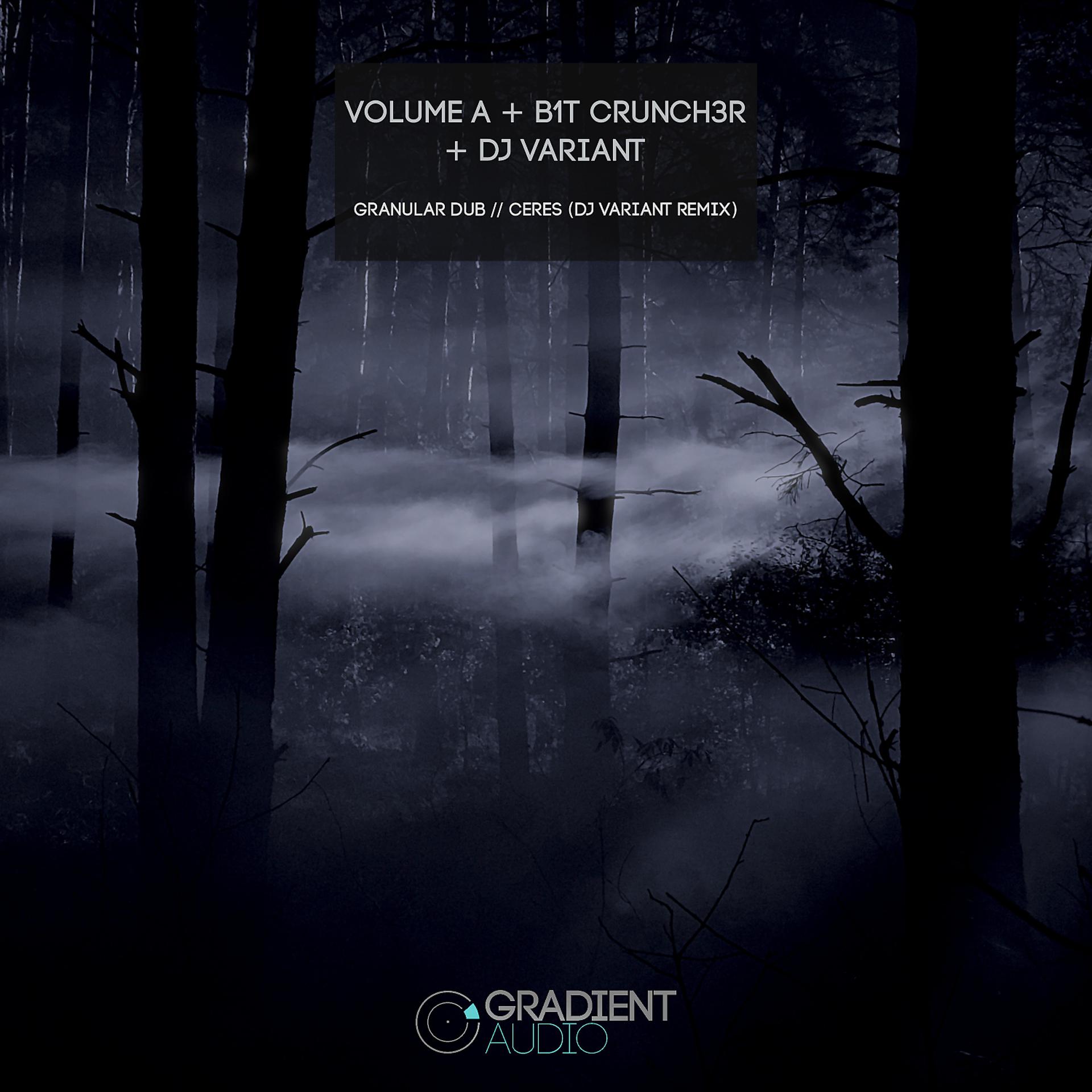 Постер альбома Granular Dub // Ceres (DJ Variant Remix)