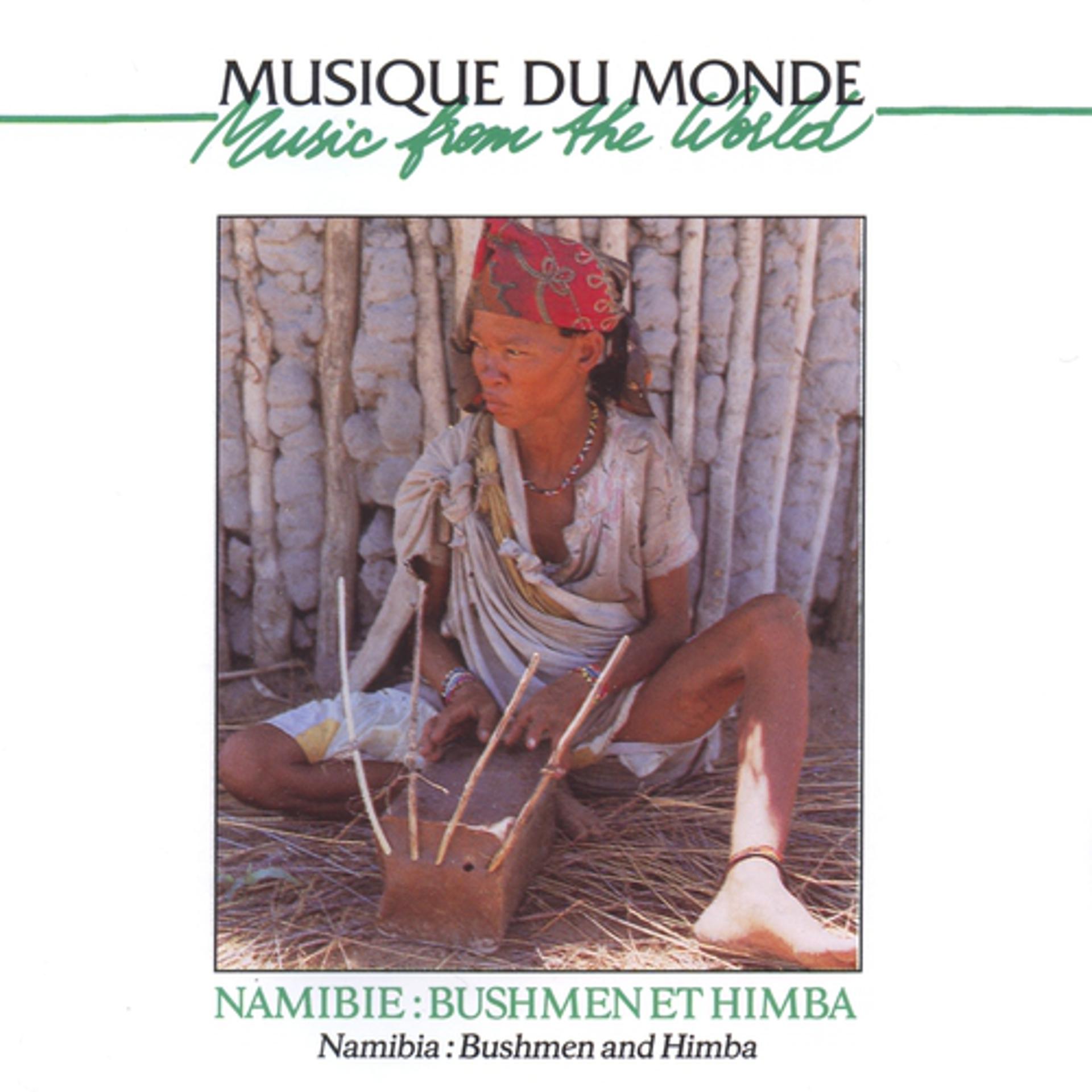 Постер альбома Namibie : bushmen et himba