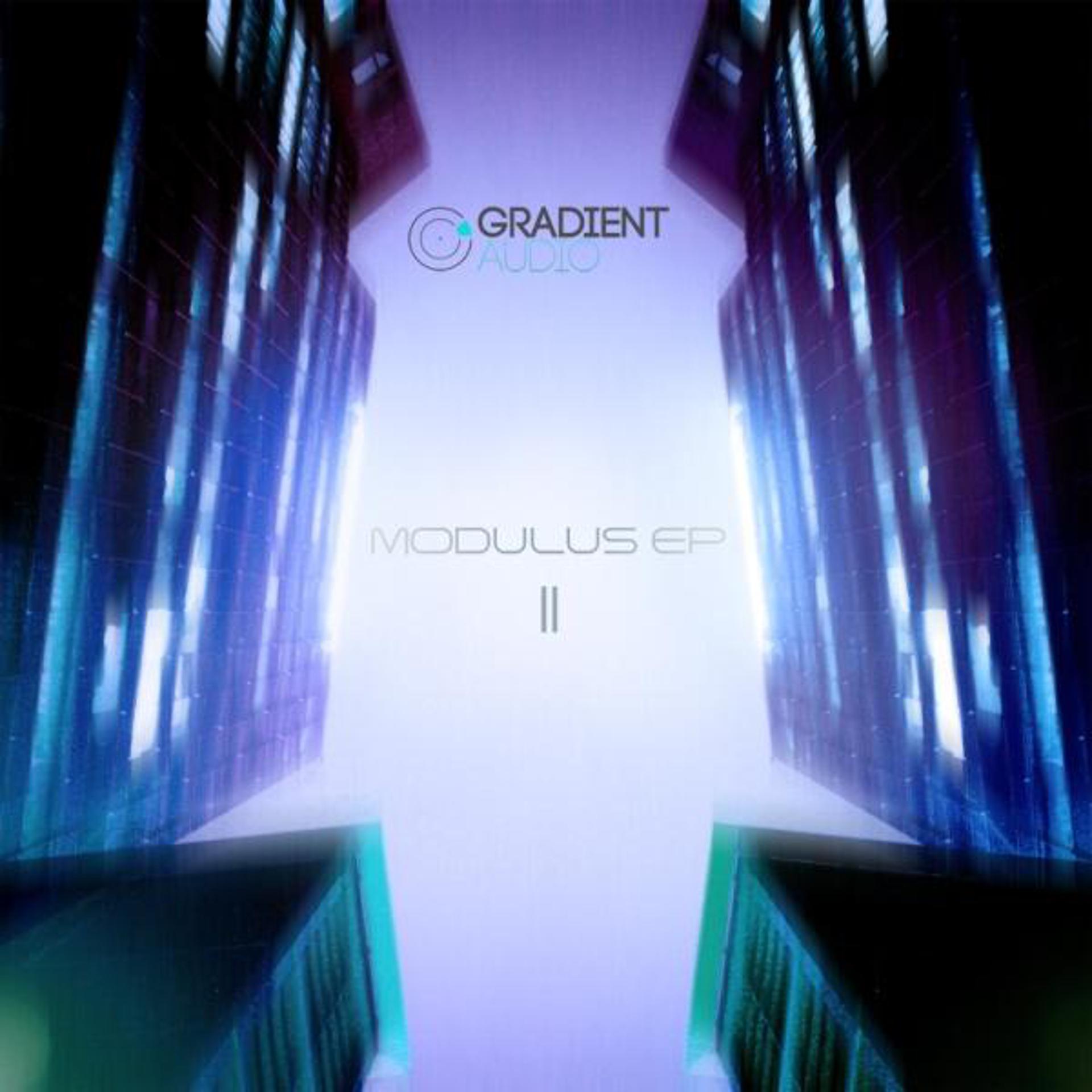 Постер альбома Modulus EP 2