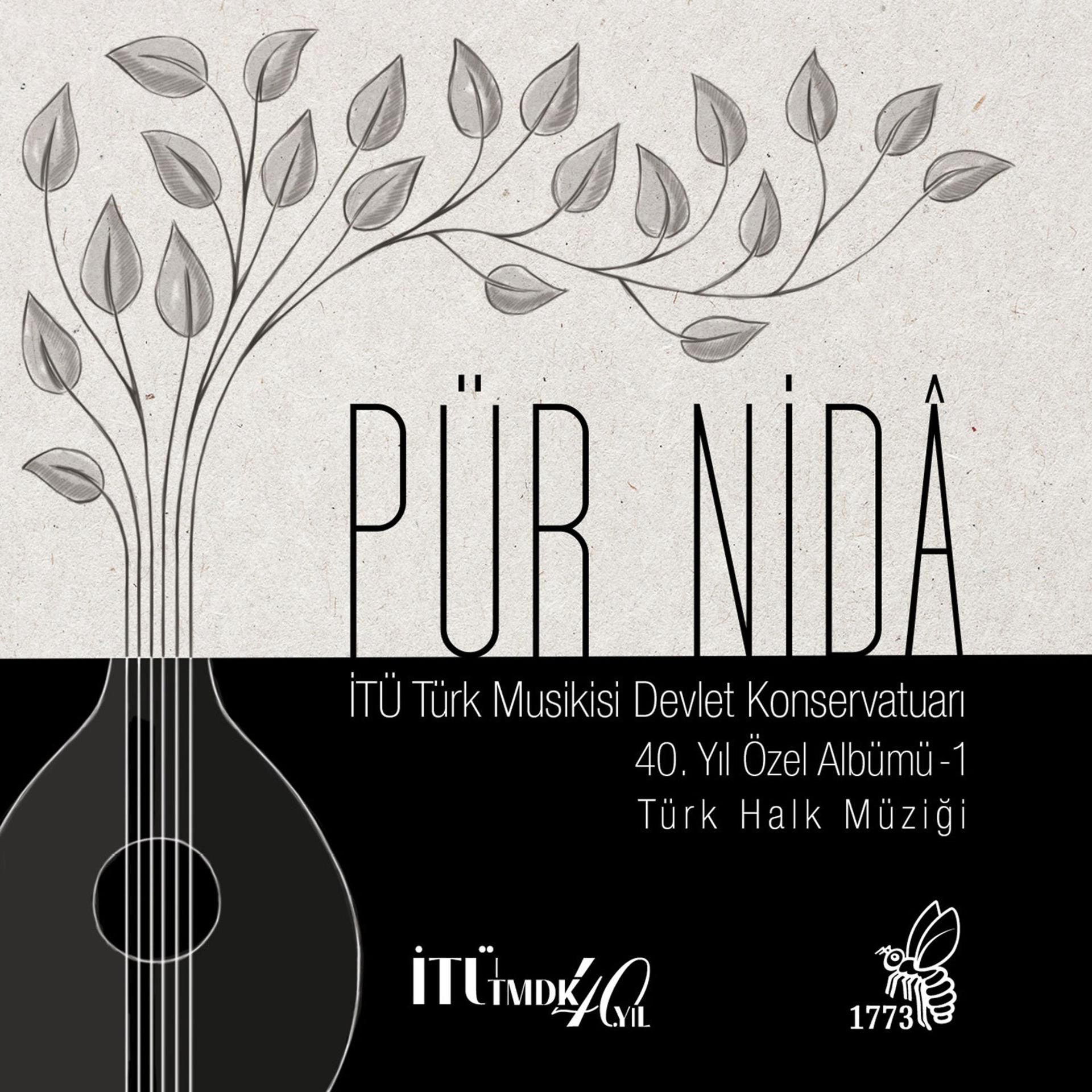 Постер альбома Pür Nida