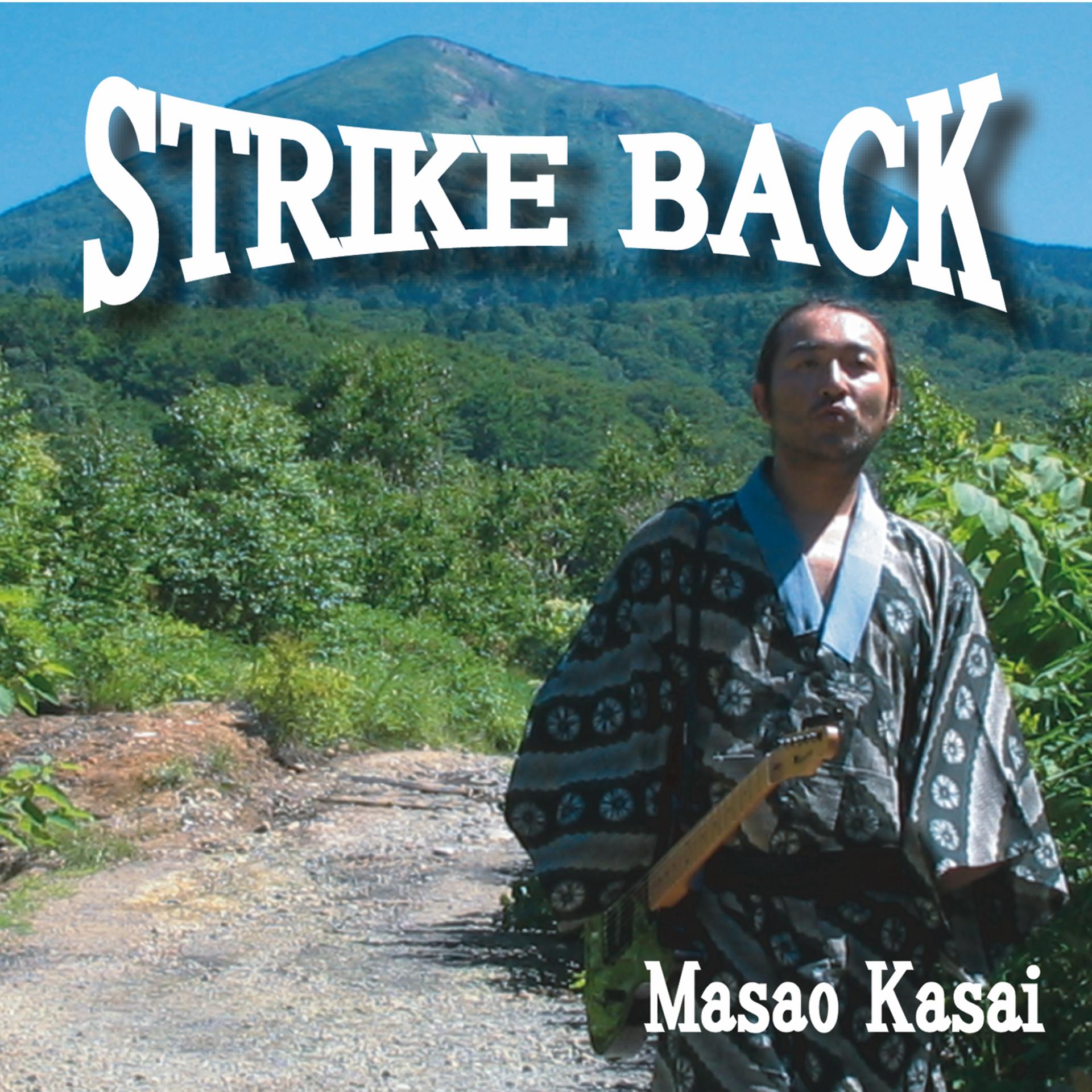 Постер альбома StrikeBack