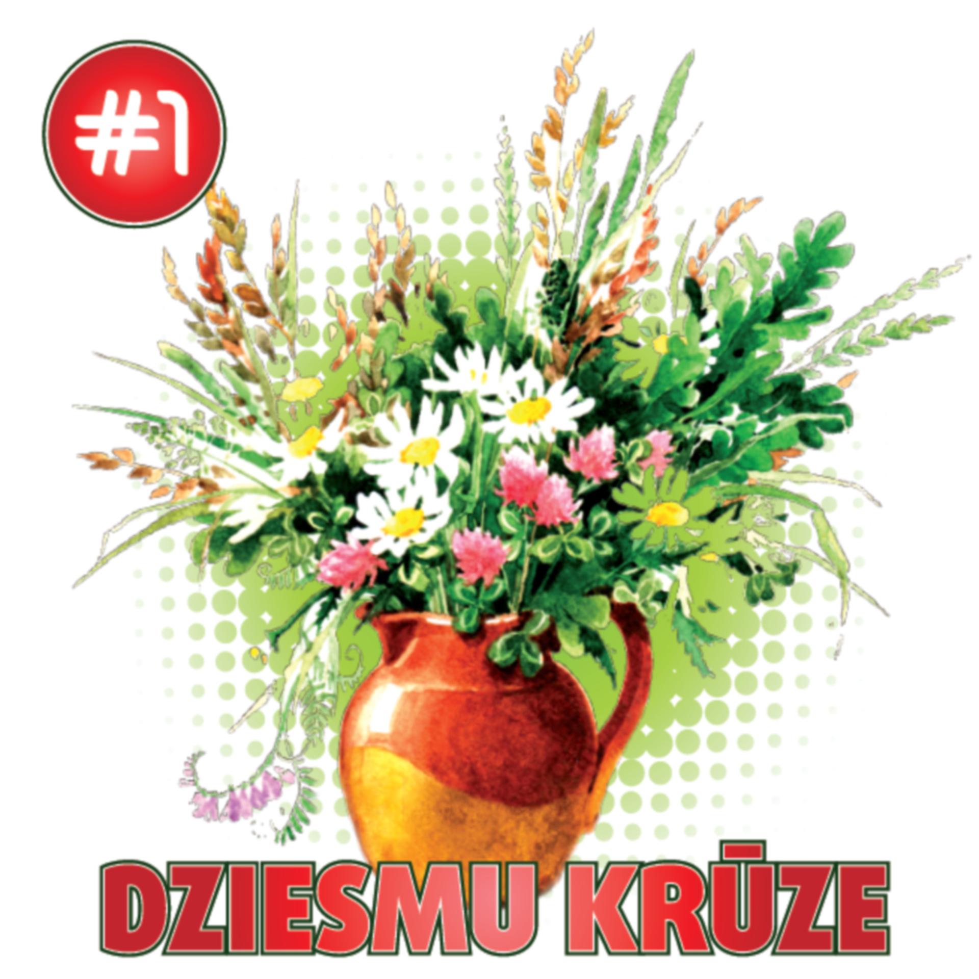 Постер альбома Dziesmu krūze #1