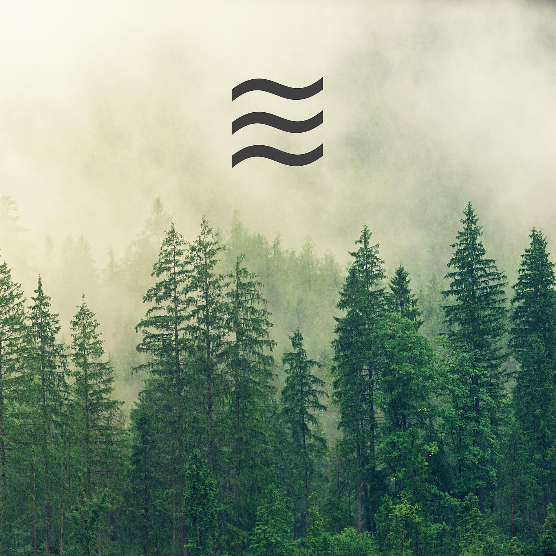 Постер альбома La nature pleut pour le calme