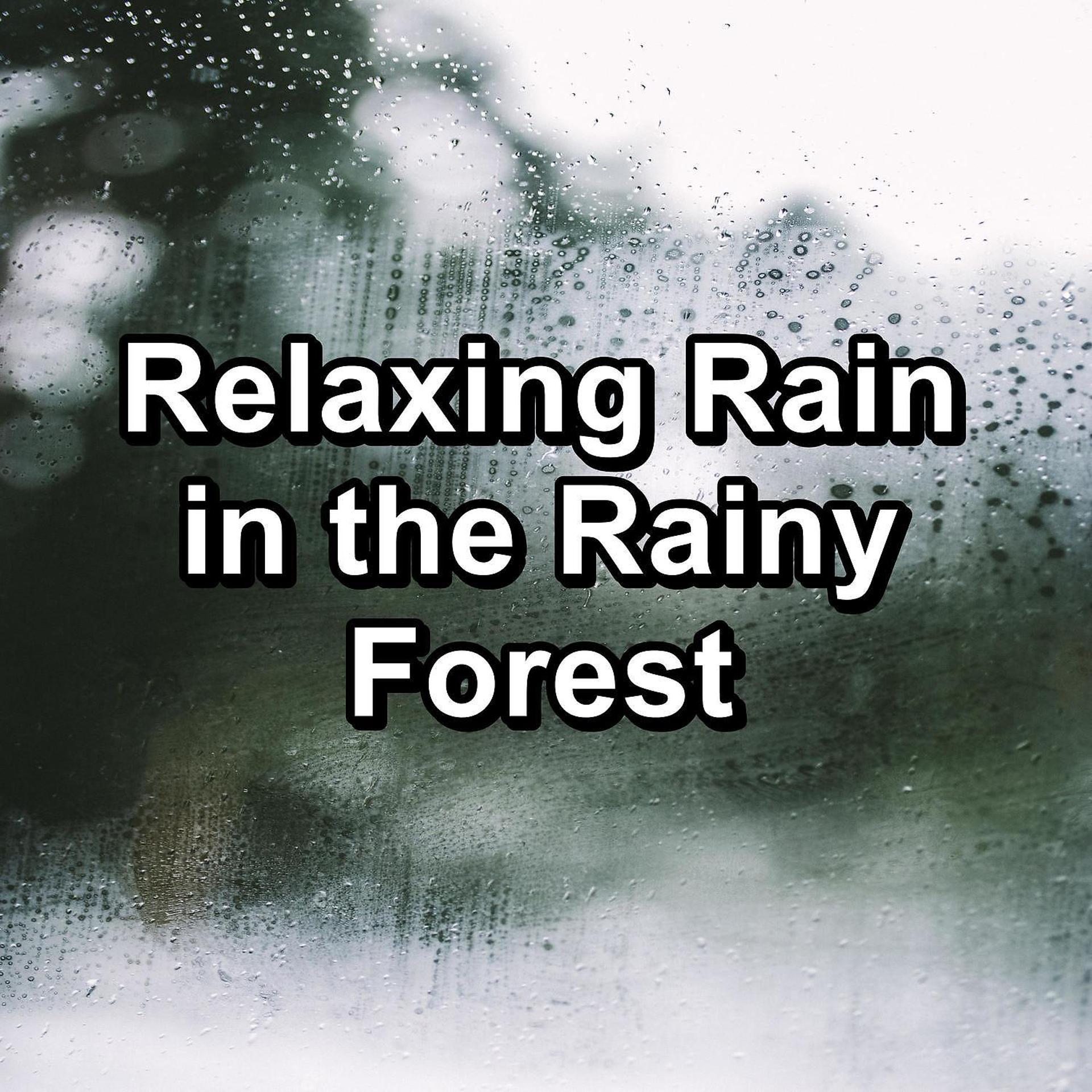 Постер альбома Relaxing Rain in the Rainy Forest