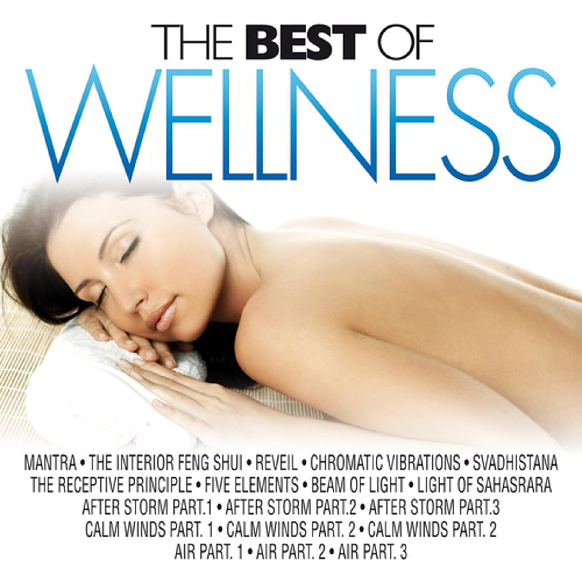 Постер альбома The Best of Wellness