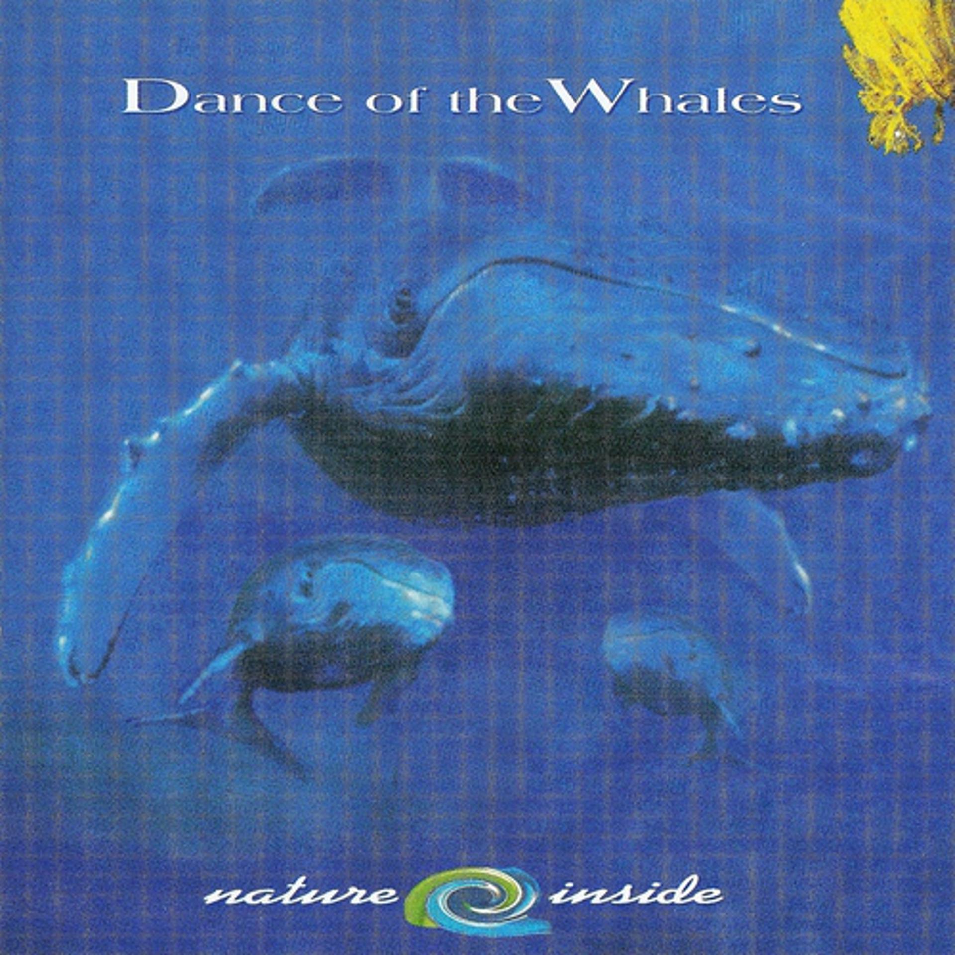 Постер альбома Dance Of The Whales