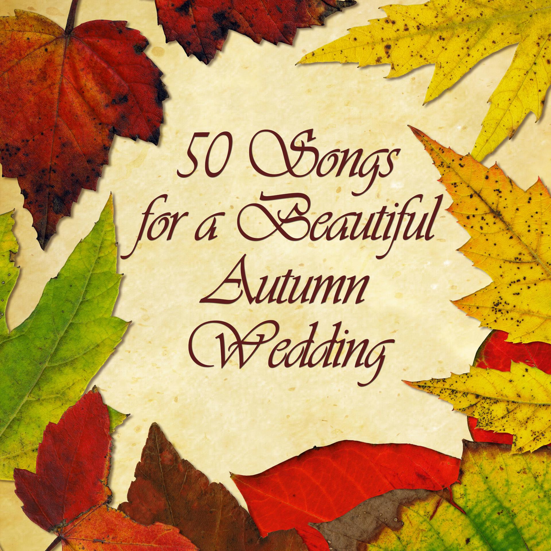 Постер альбома 50 Songs for a Beautiful Autumn Wedding