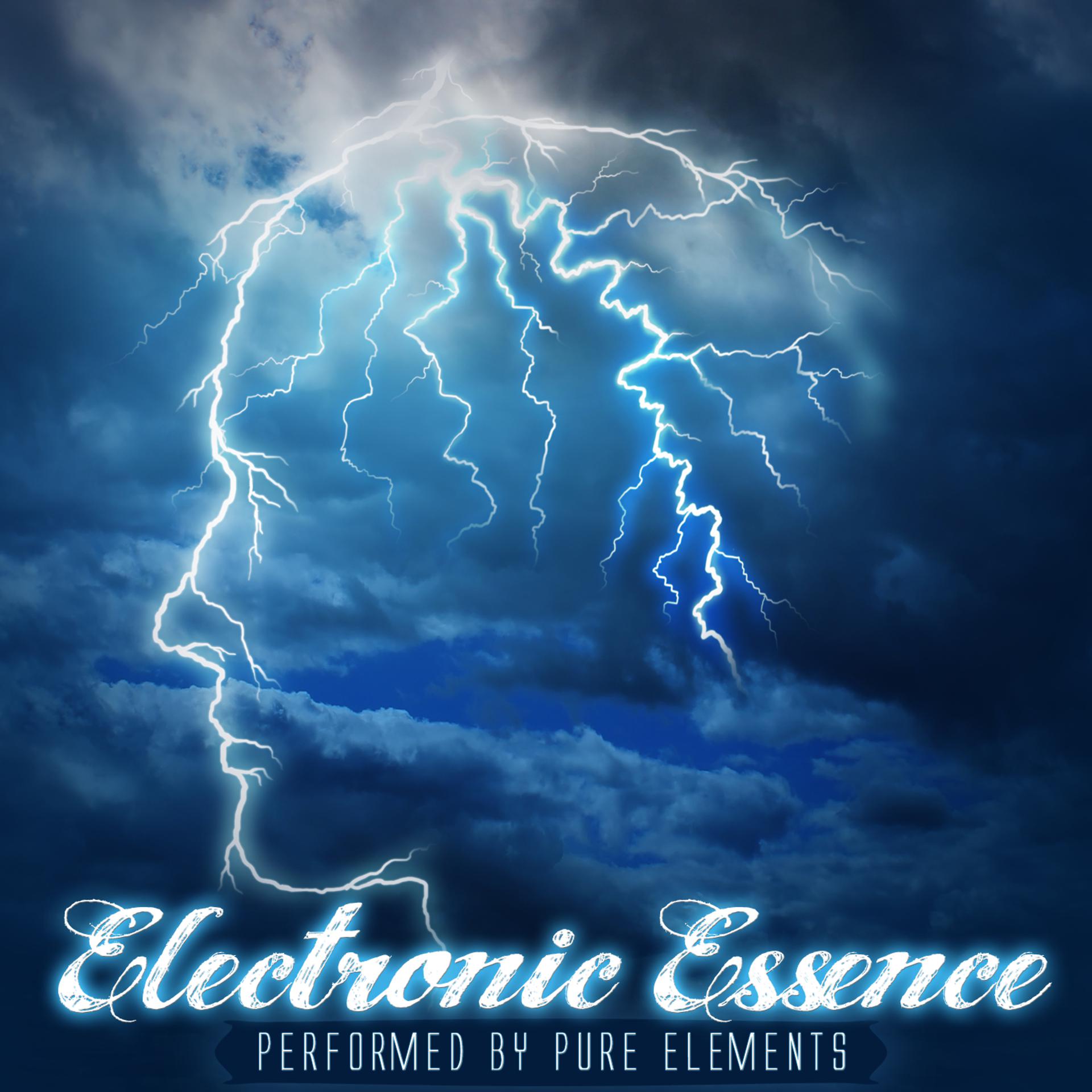 Постер альбома Electronic Essence: An Outstanding Selection
