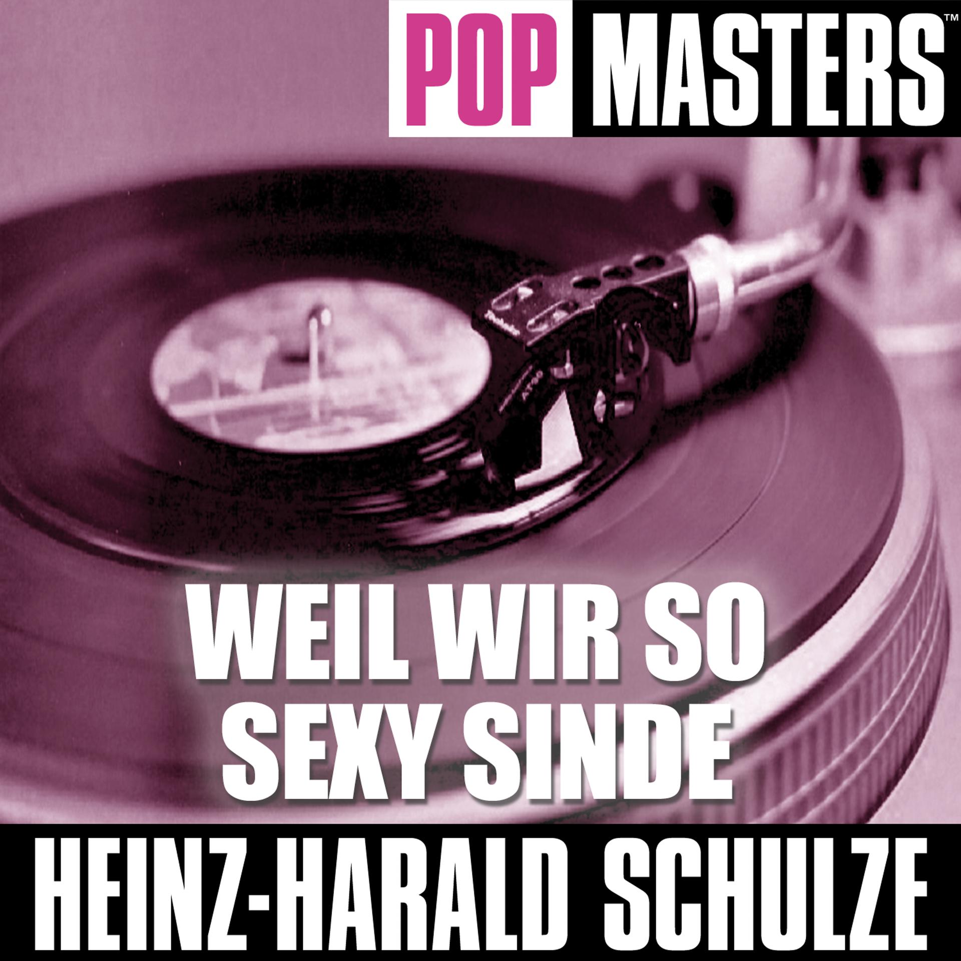 Постер альбома Pop Masters: Weil Wir So Sexy Sind