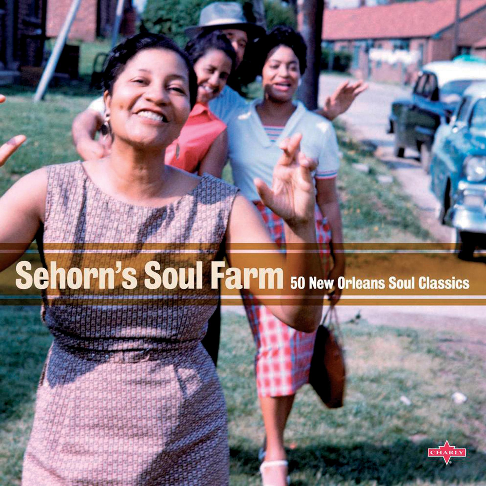 Постер альбома Sehorn's Soul Farm - 50 New Orleans Soul Classics
