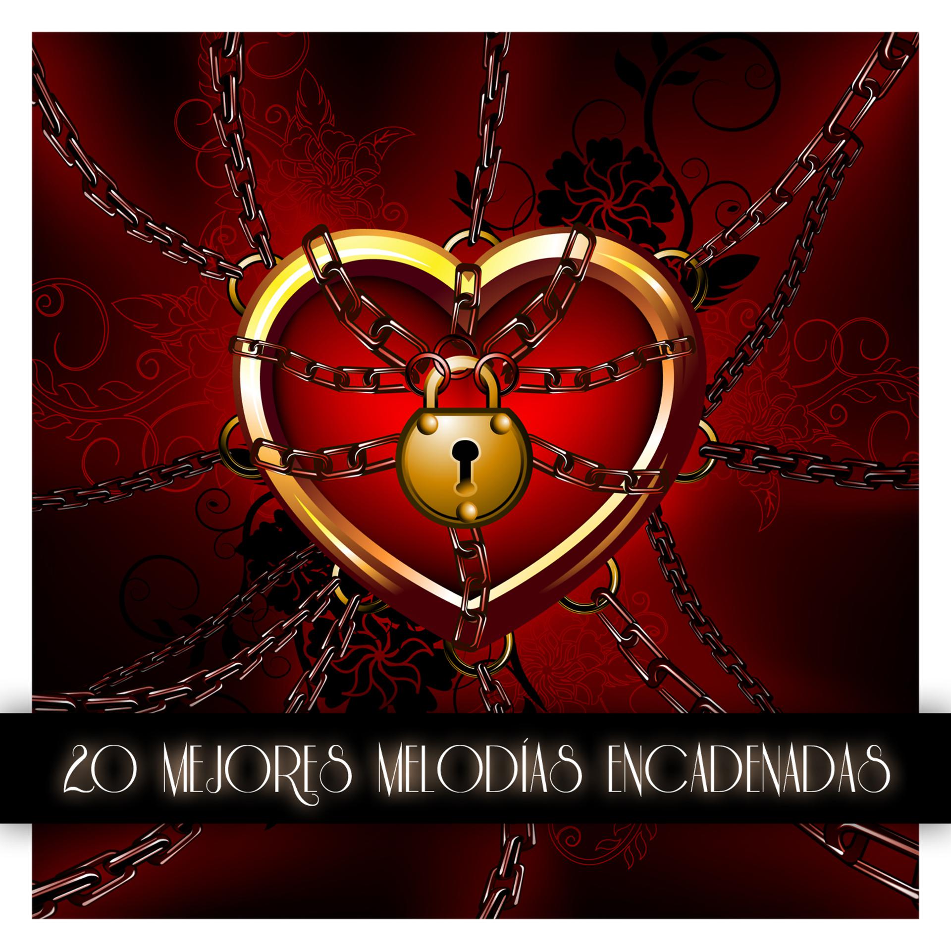 Постер альбома 20 Mejores Melodias Encadenadas