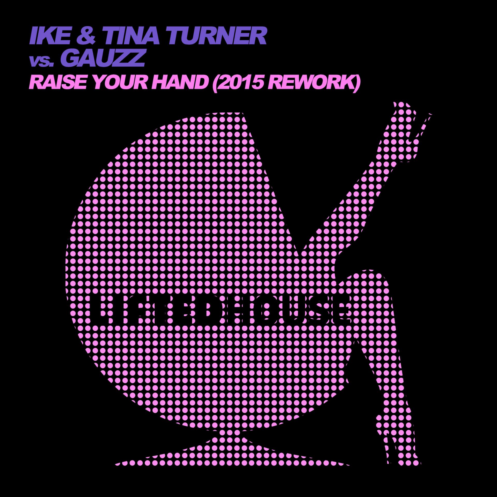 Постер альбома Raise Your Hand (2015 Rework)