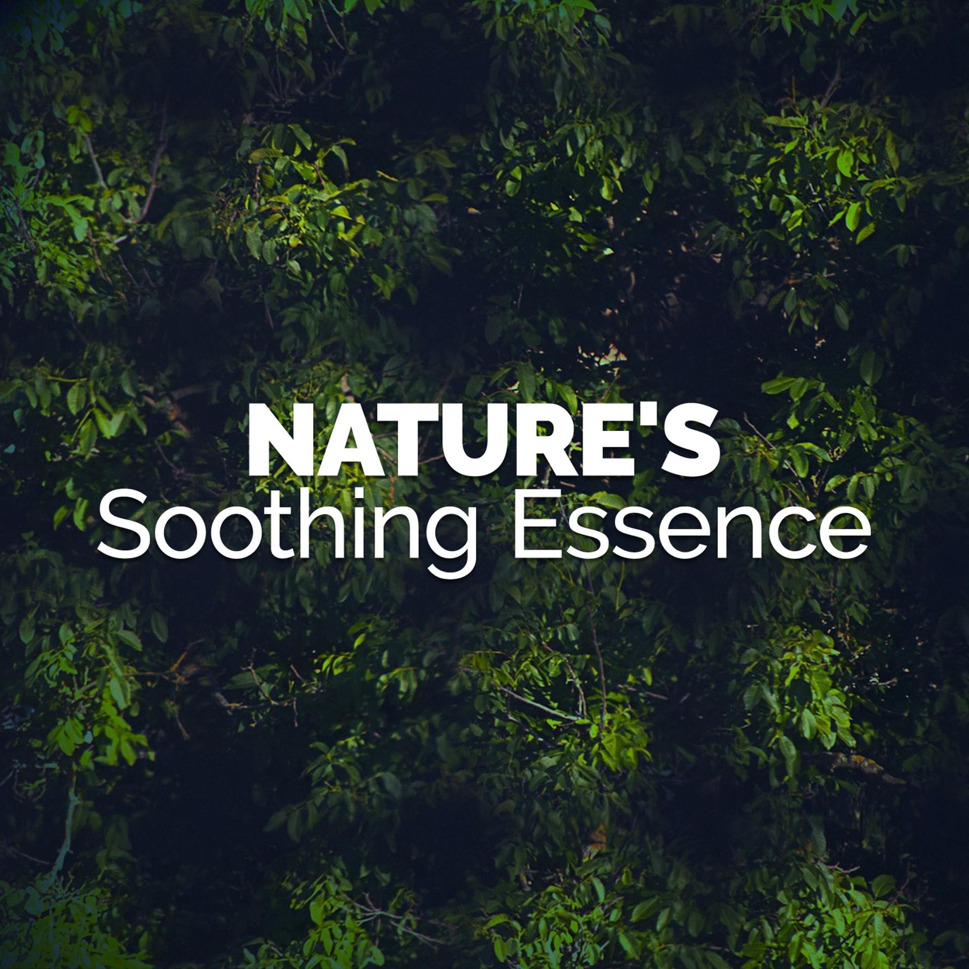 Постер альбома Nature's Soothing Essence