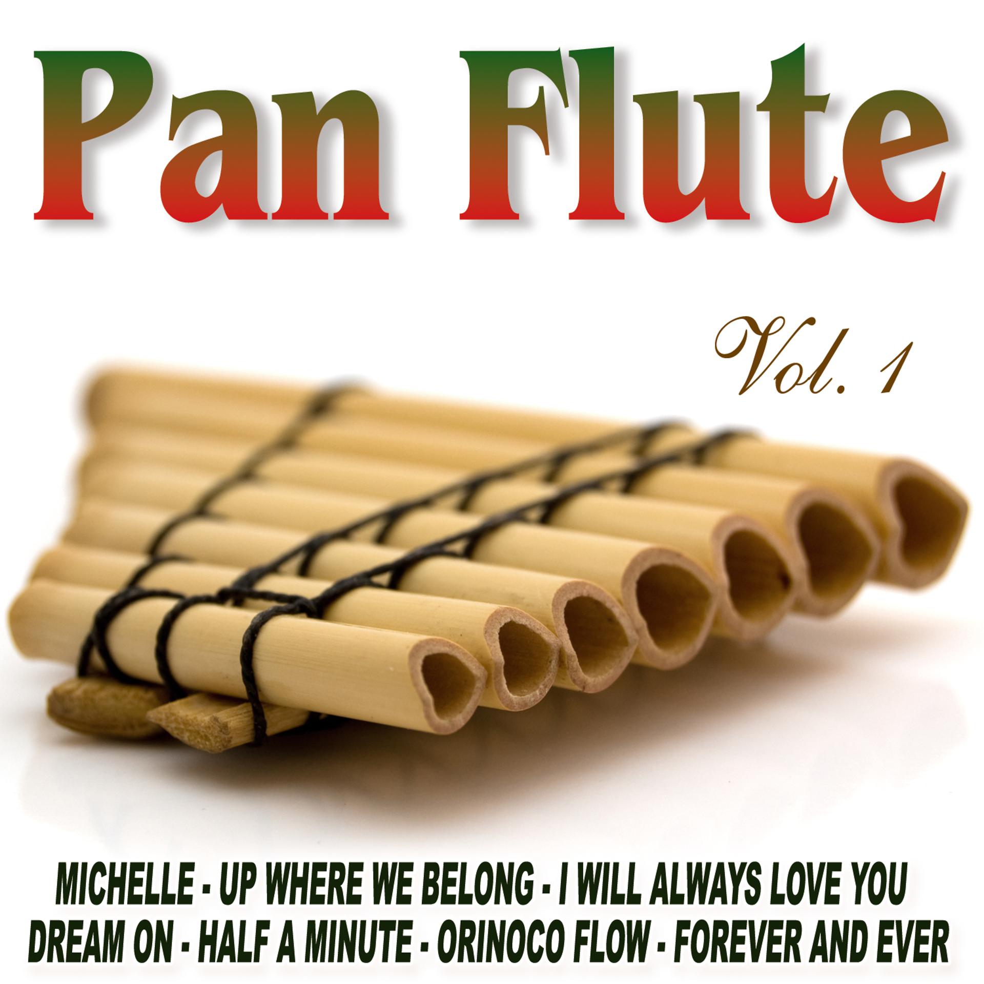 Постер альбома Pan Flute Vol.1