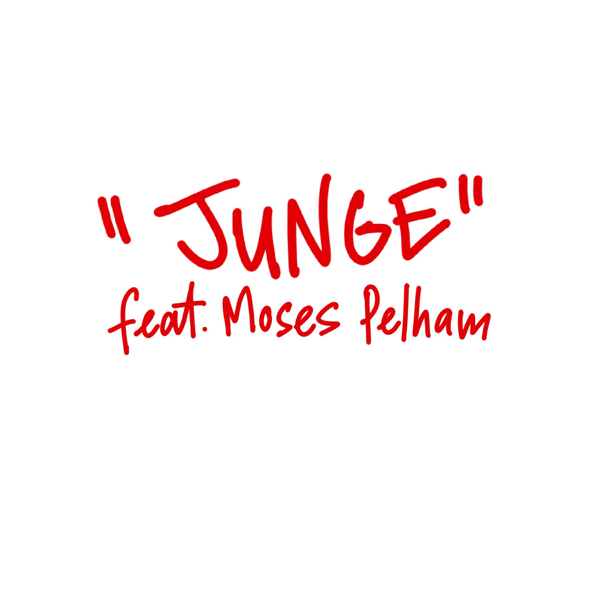 Постер альбома Junge (feat. Moses Pelham)