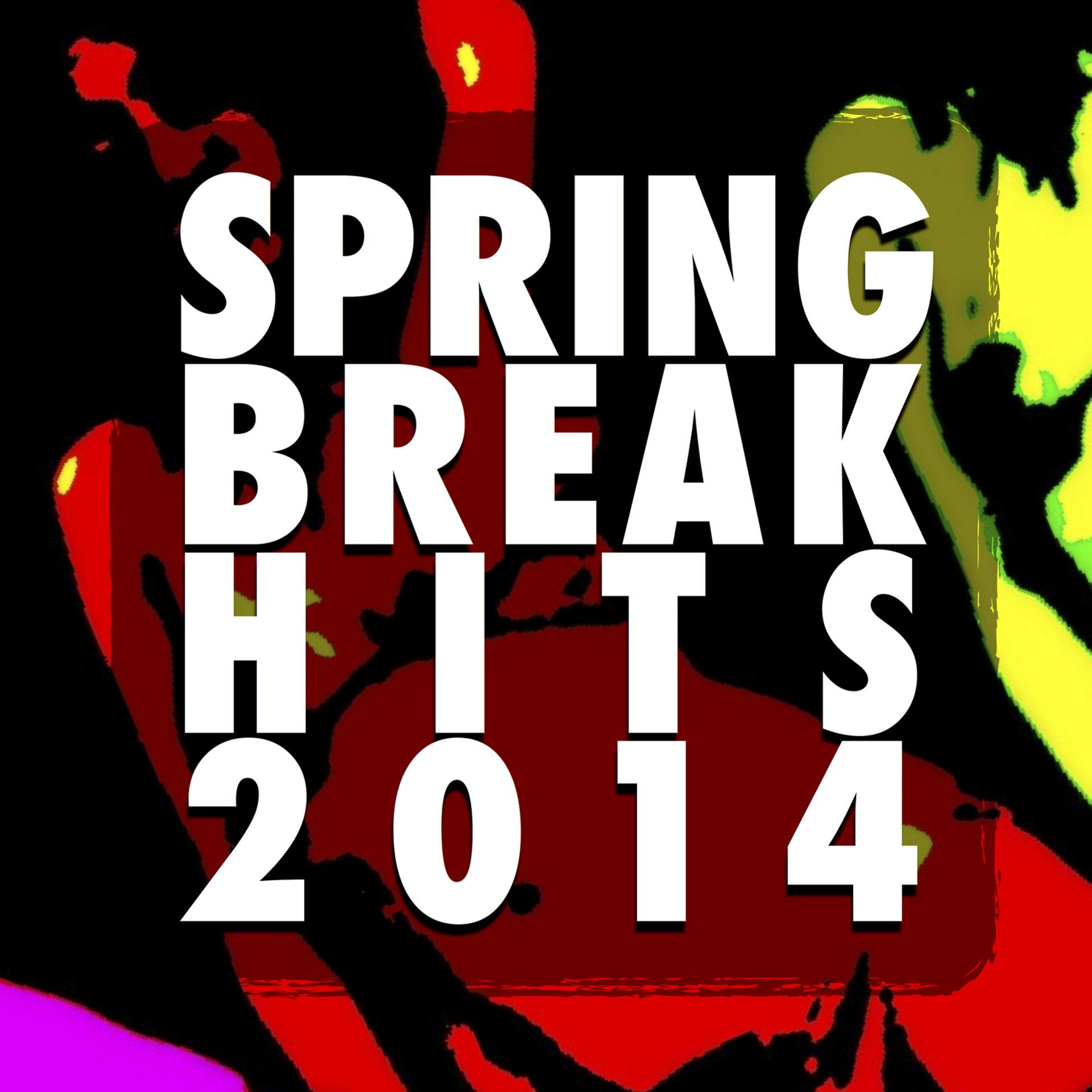 Постер альбома Spring Break Hits 2014