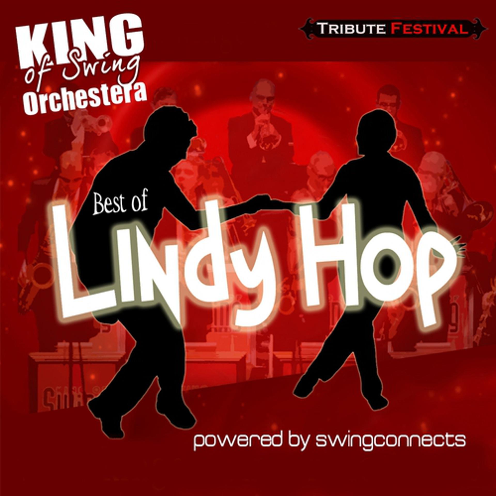 Постер альбома Best of Lindy Hop