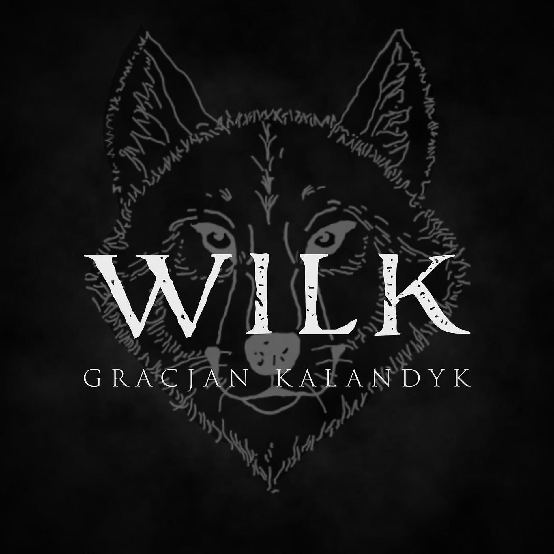 Постер альбома Wilk