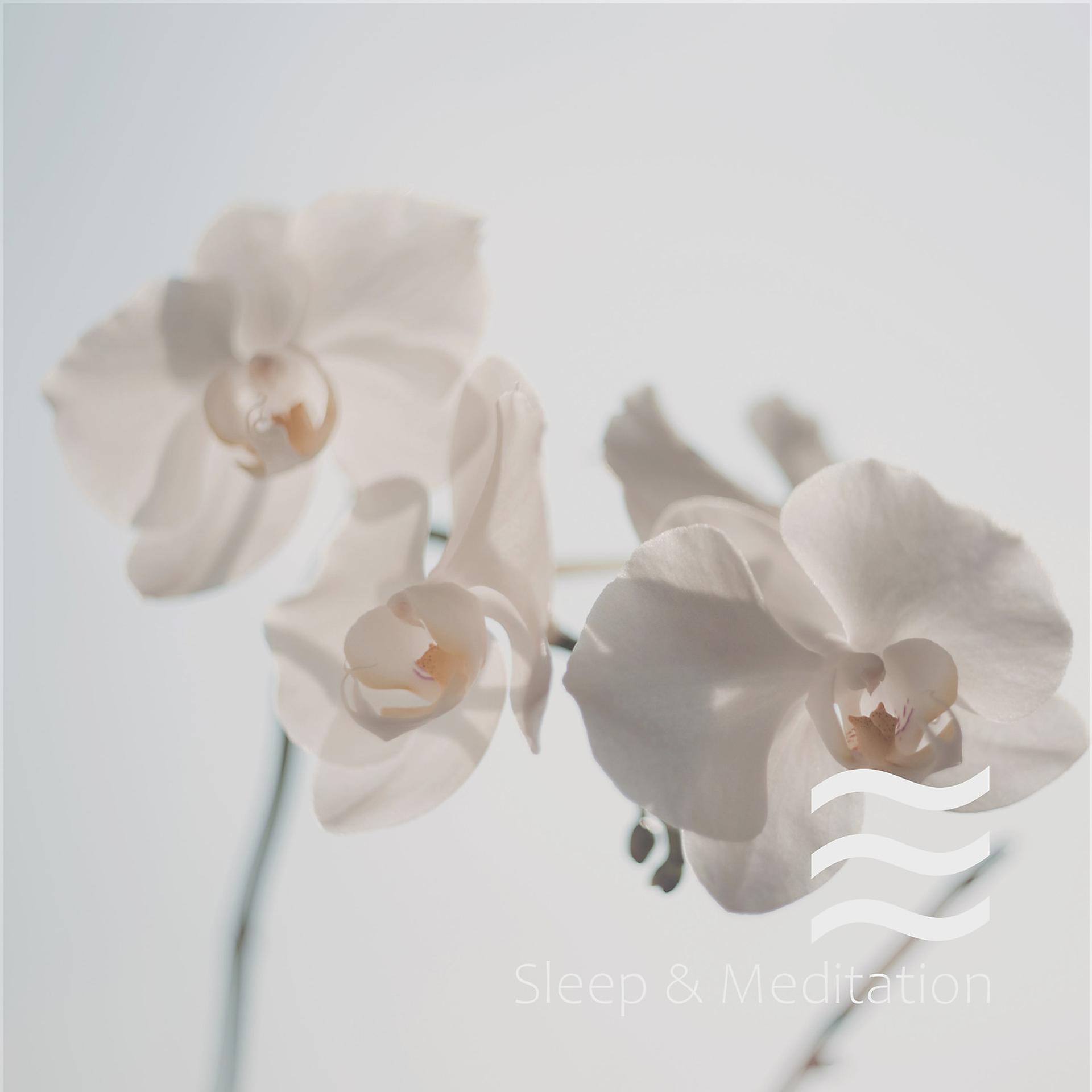 Постер альбома White Noise for Deep Sleep Baby Spring Collection