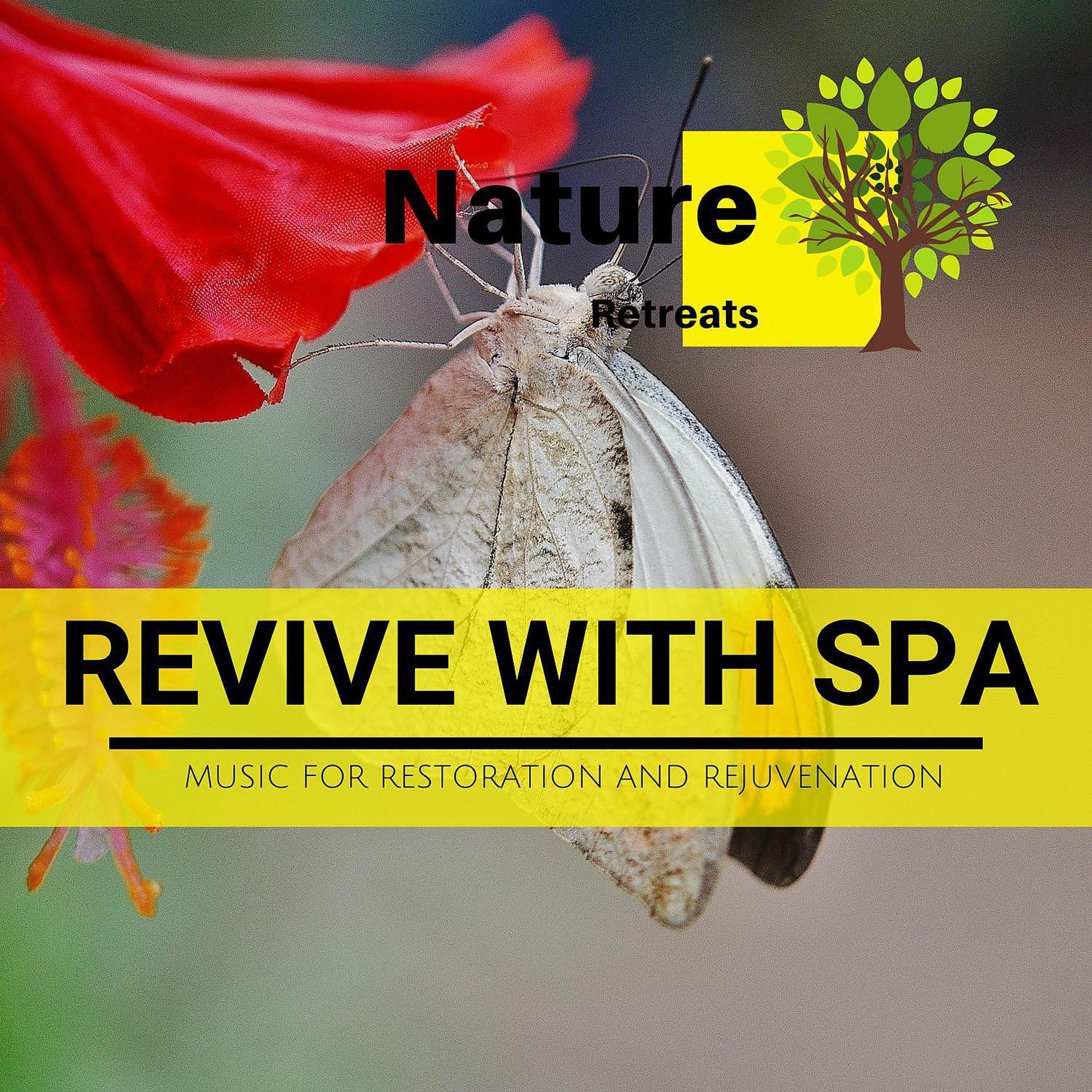 Постер альбома Revive with Spa - Music for Restoration and Rejuvenation