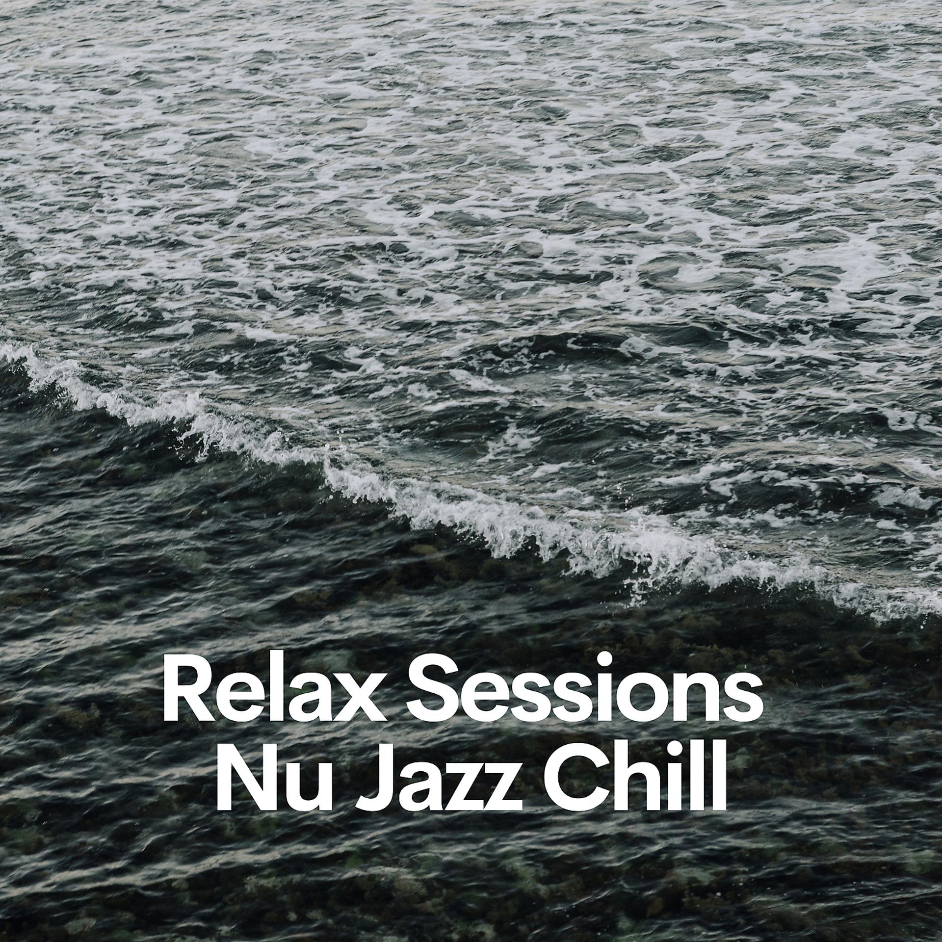 Постер альбома Relax Sessions, Nu Jazz Chill