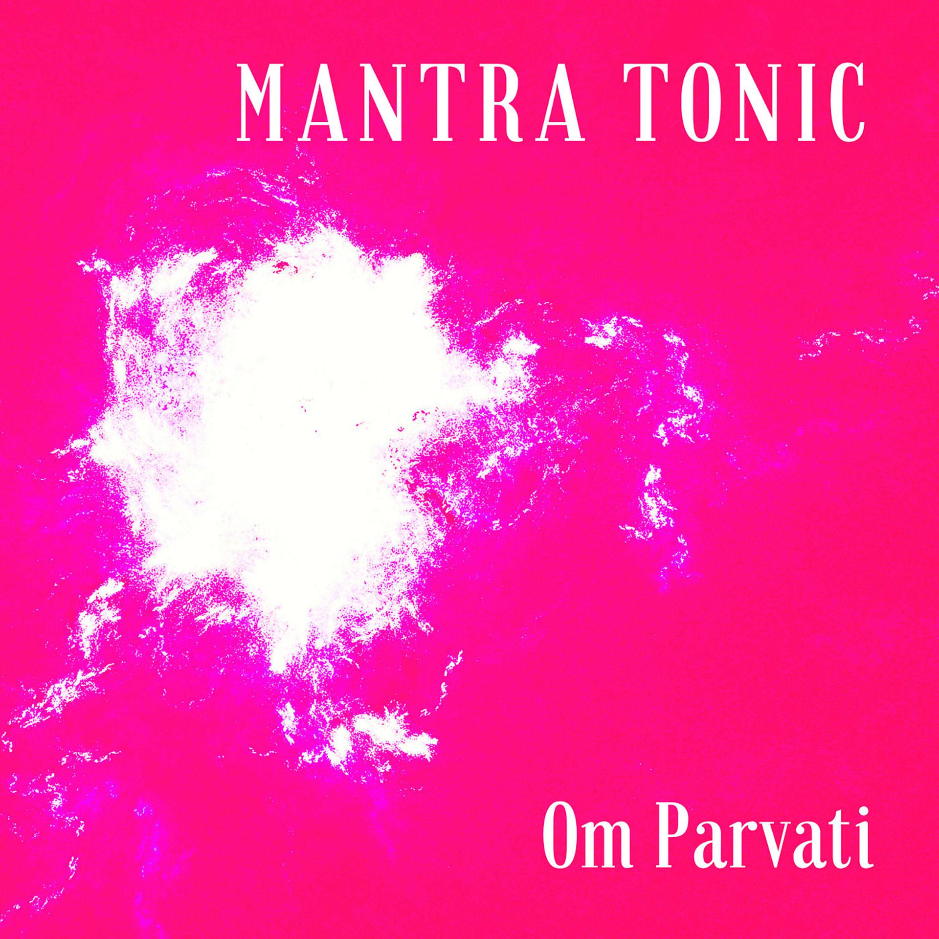 Постер альбома Om Parvati